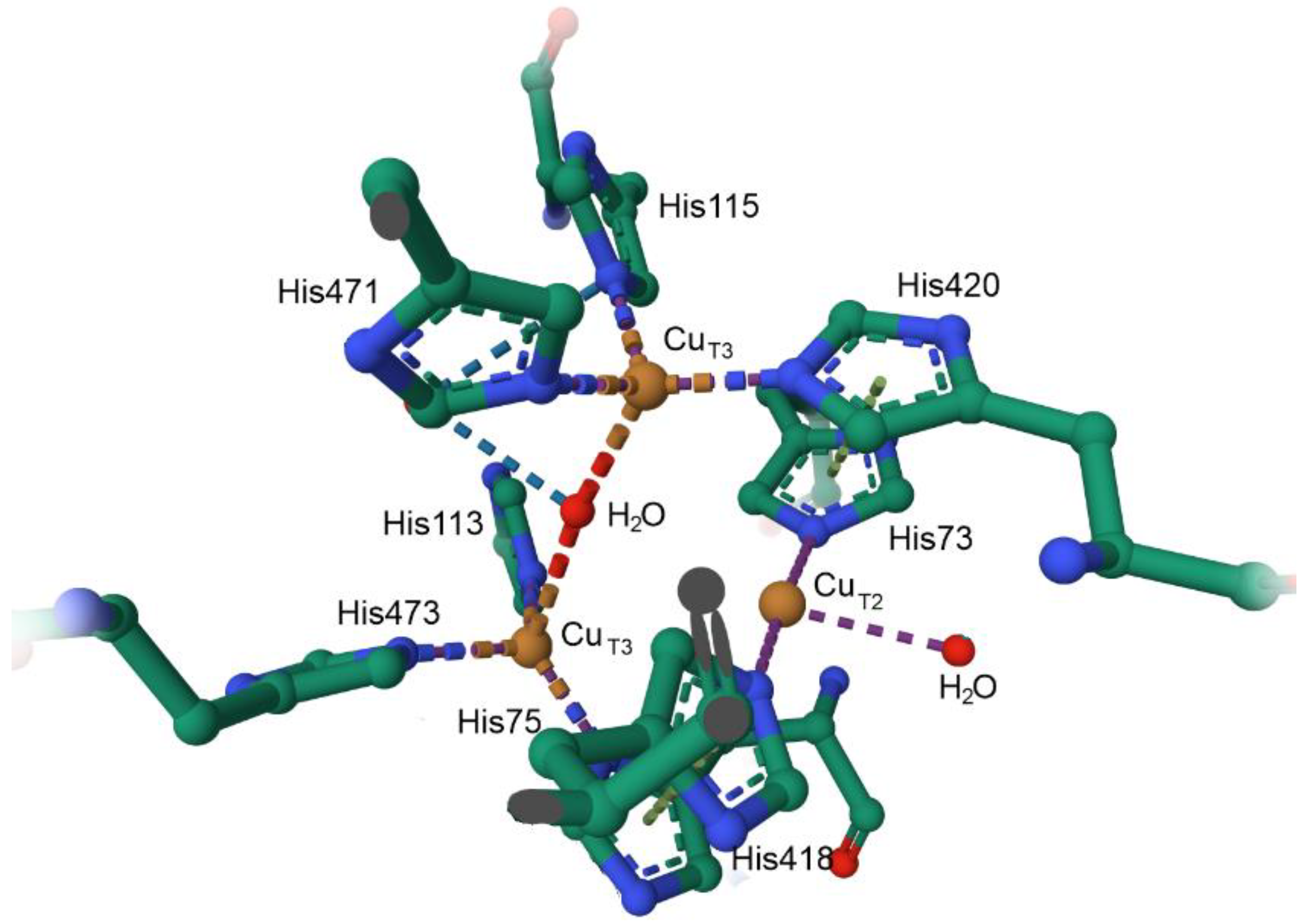 Preprints 149000 g058