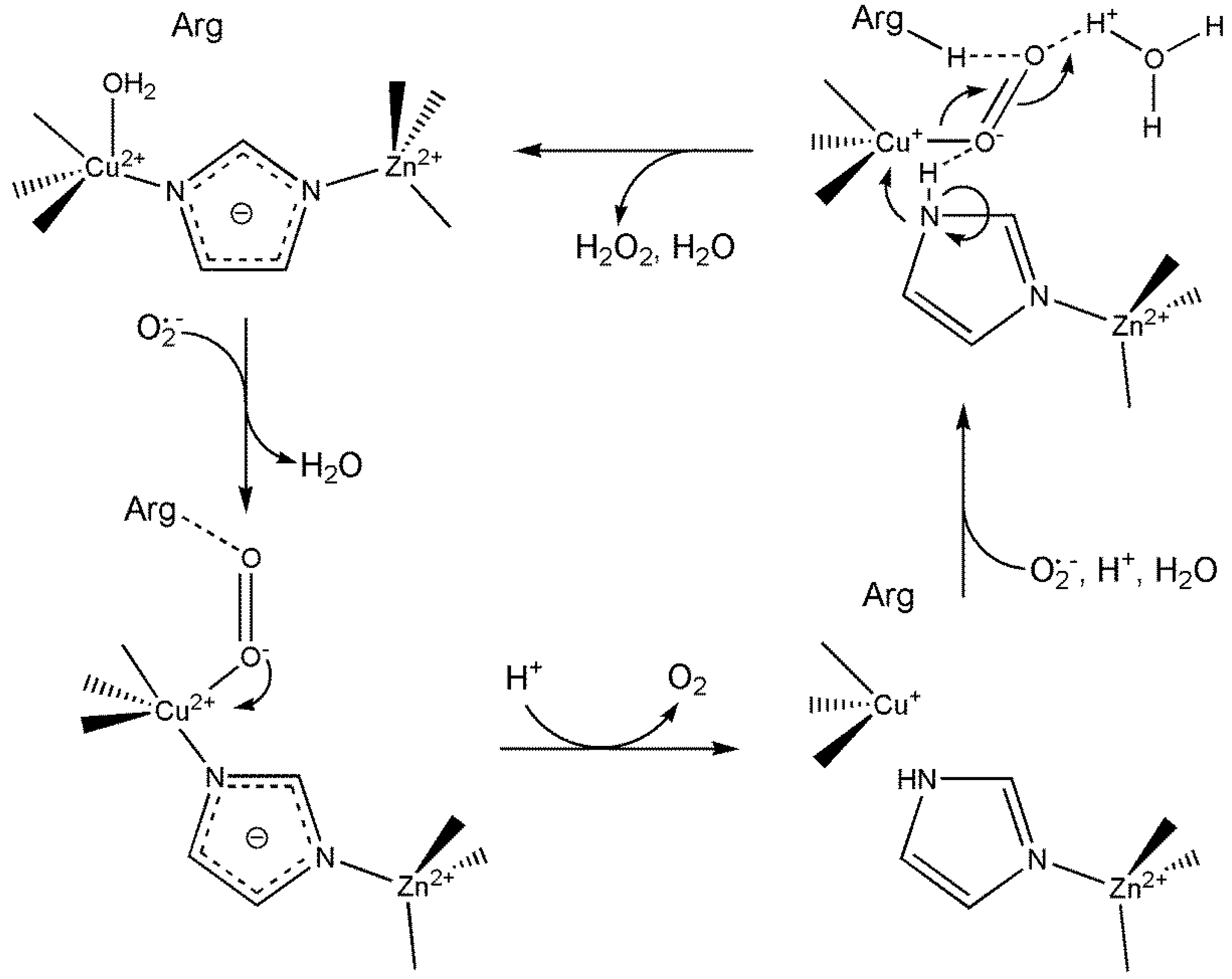 Preprints 149000 g061