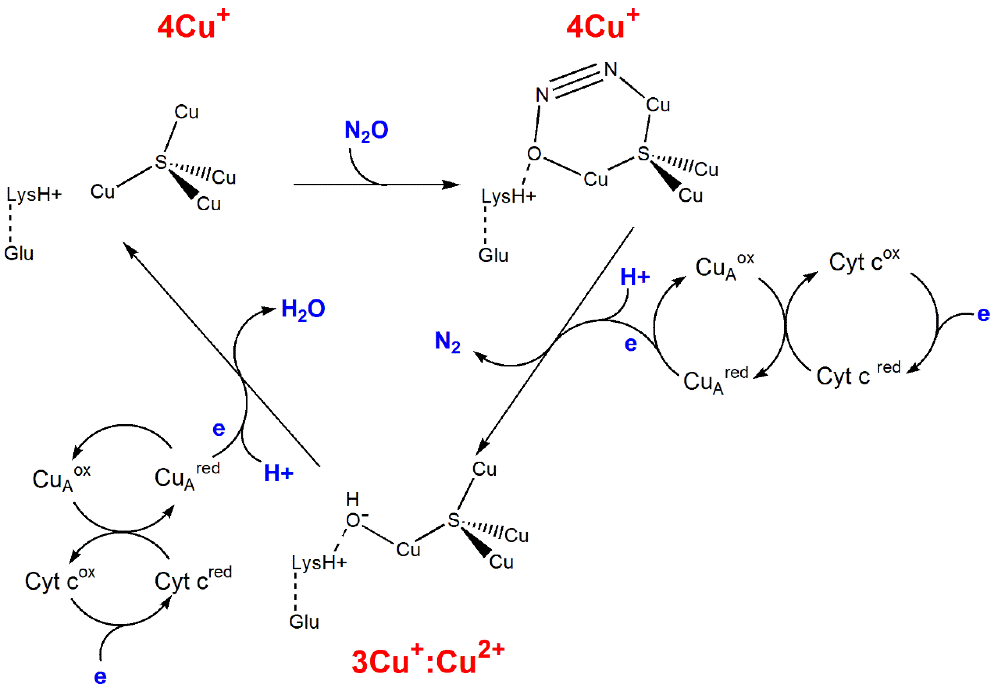 Preprints 149000 g063