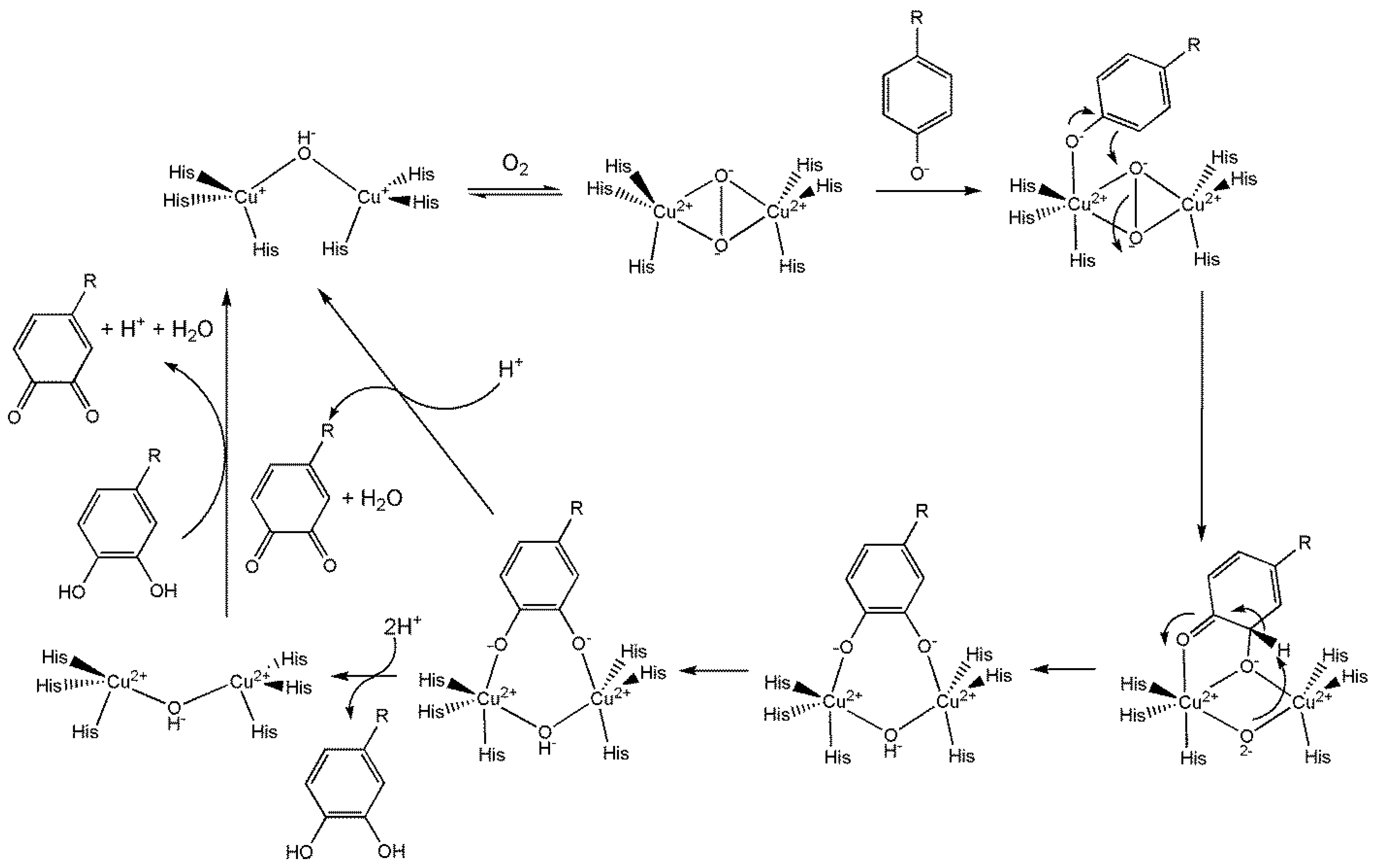 Preprints 149000 g064