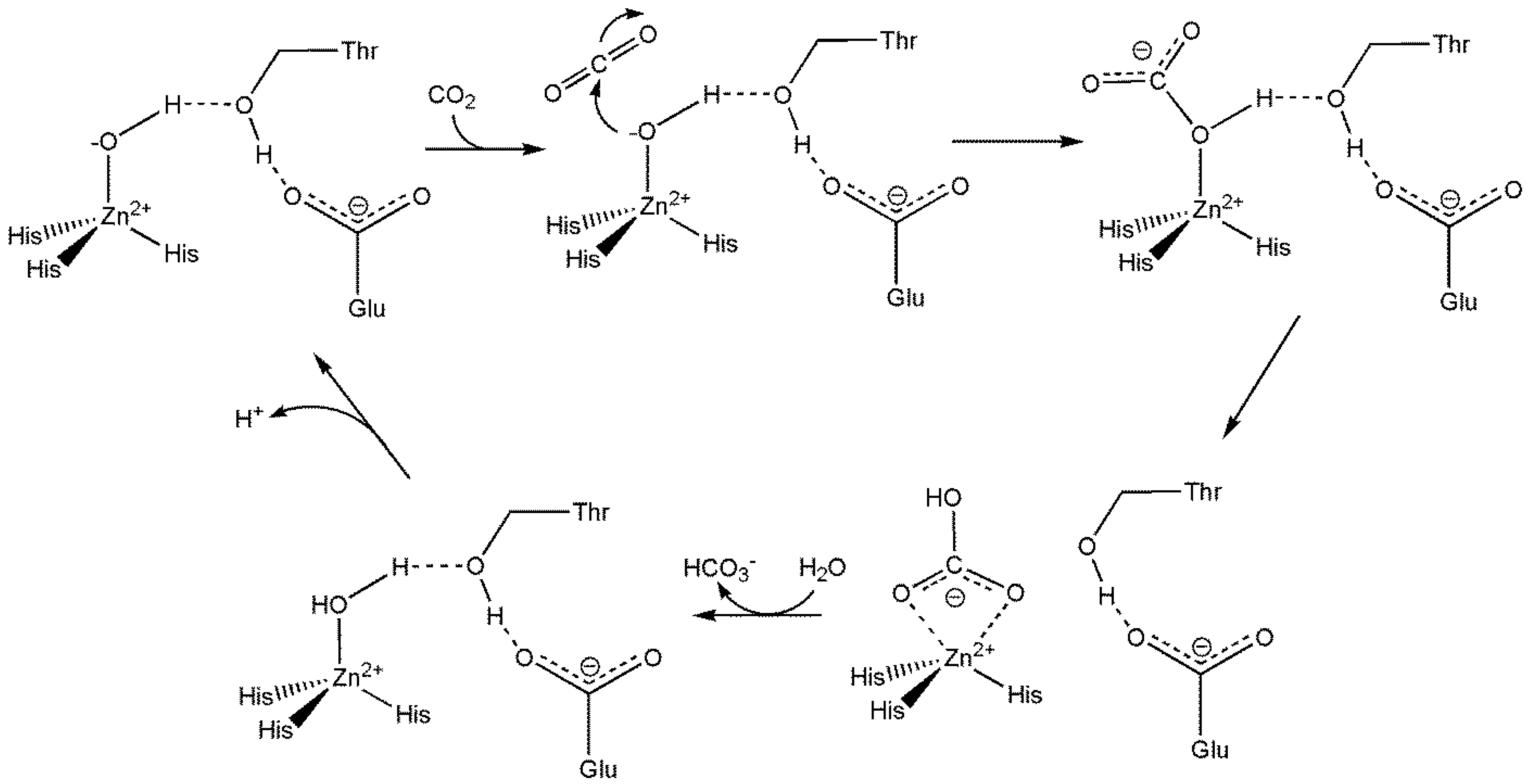 Preprints 149000 g067