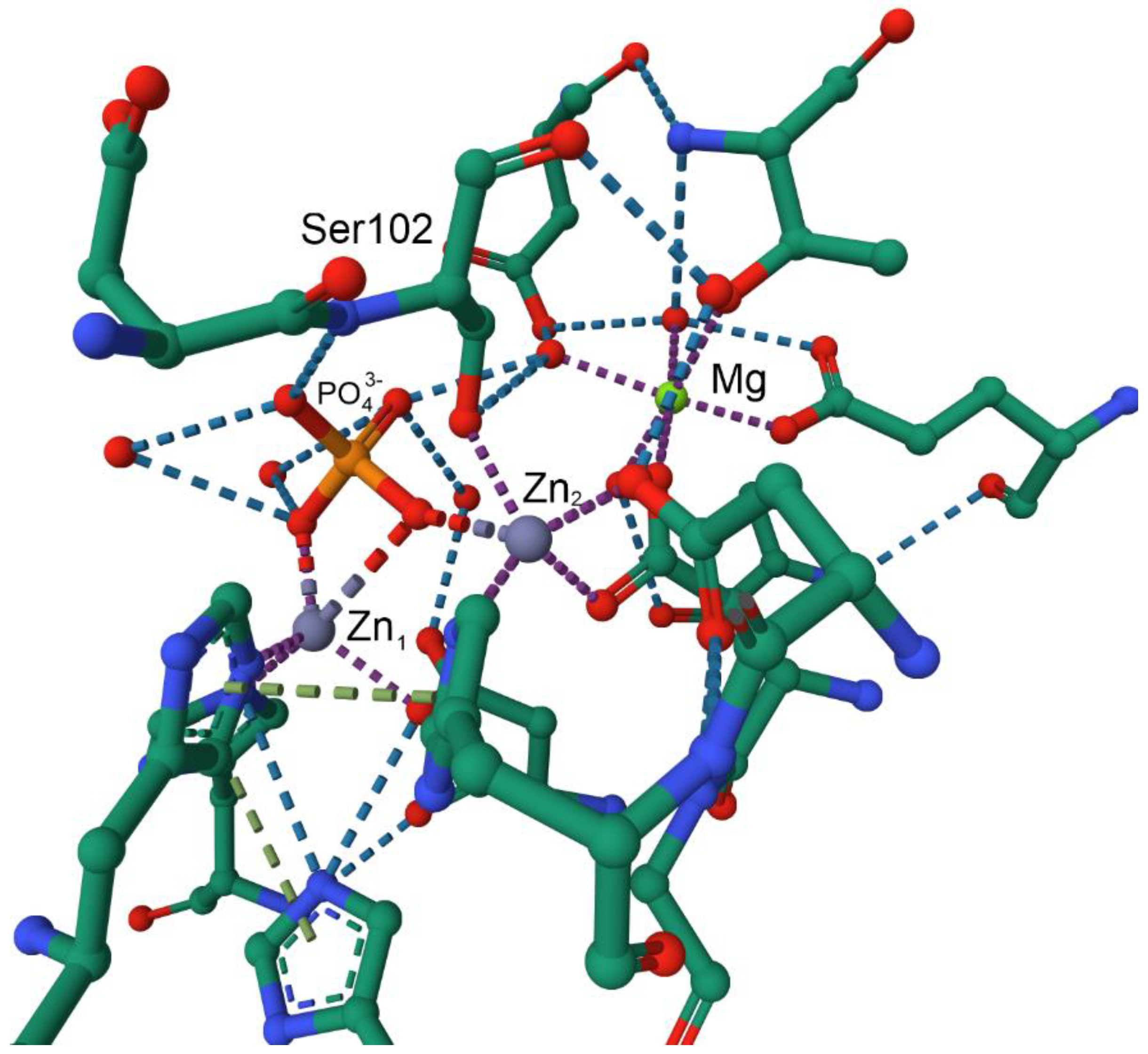 Preprints 149000 g069