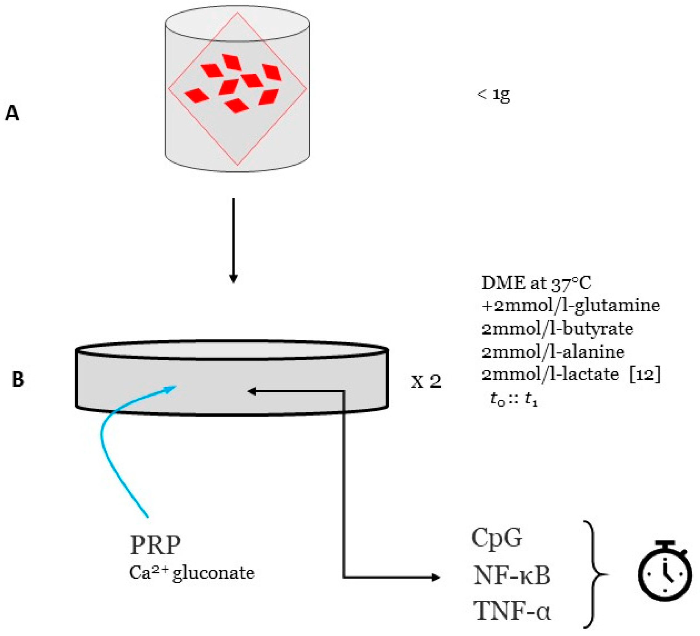 Preprints 82282 g001
