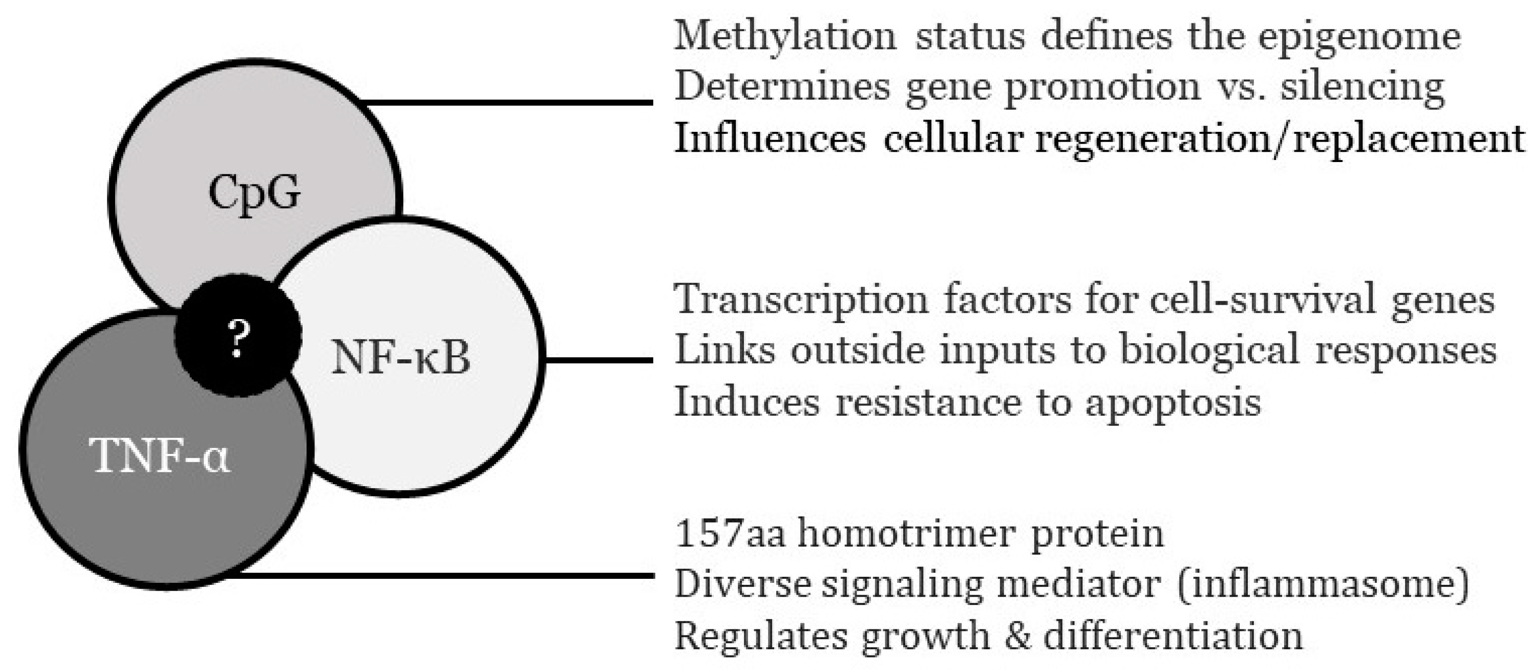 Preprints 82282 g002