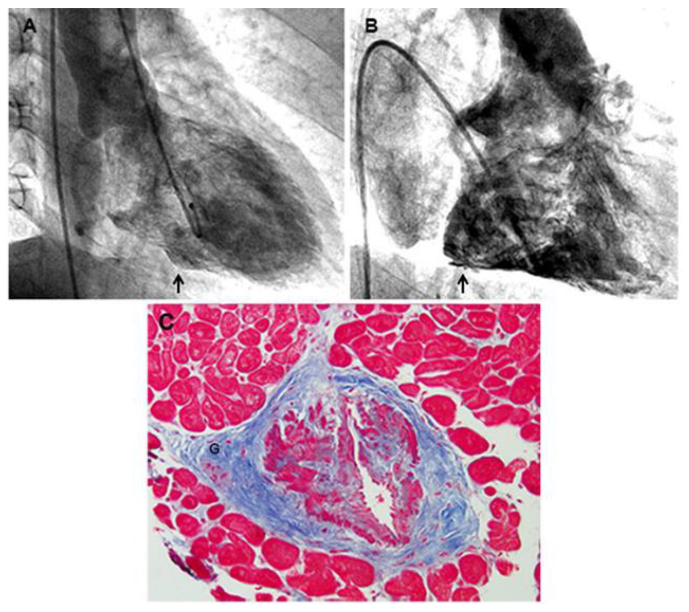 Preprints 88319 g001