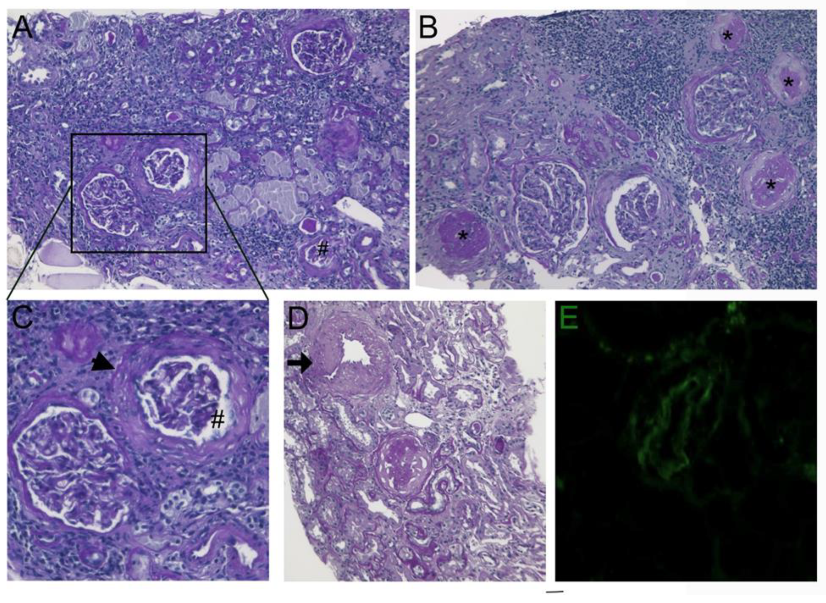 Preprints 88319 g002