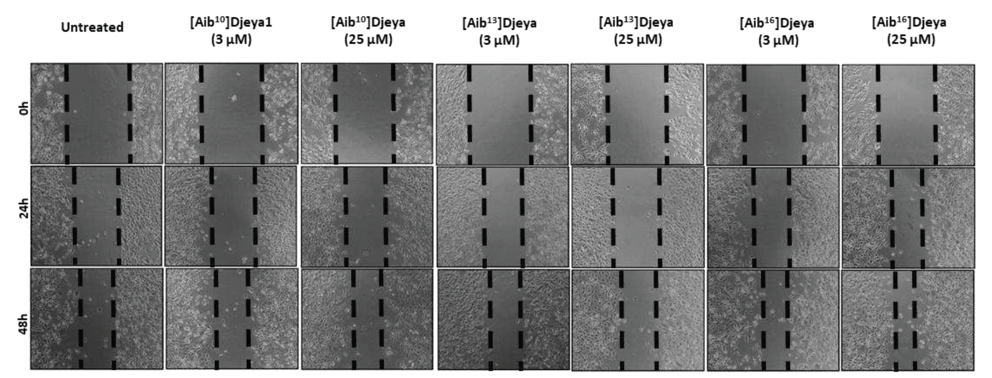 Preprints 77309 g0a2