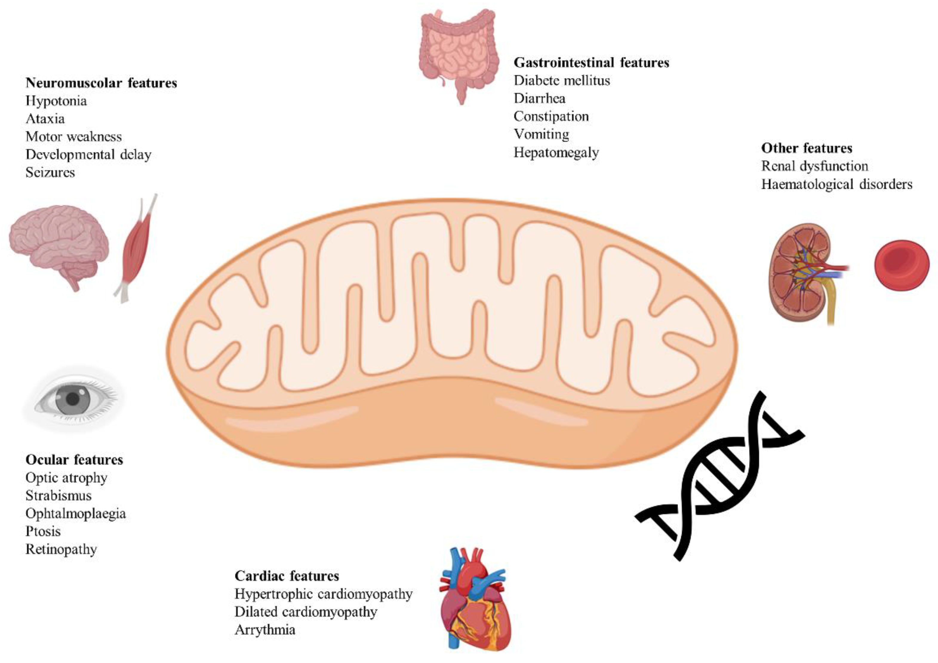 Preprints 151866 g001
