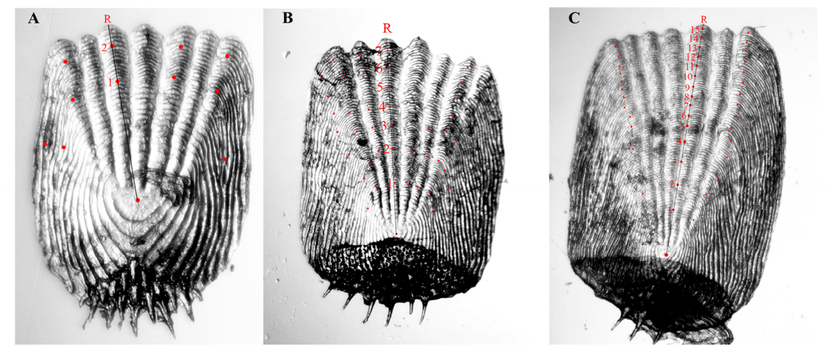 Preprints 237914 g003