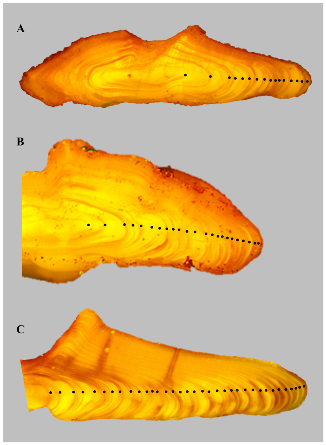 Preprints 237914 g004