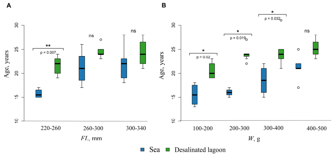 Preprints 237914 g008