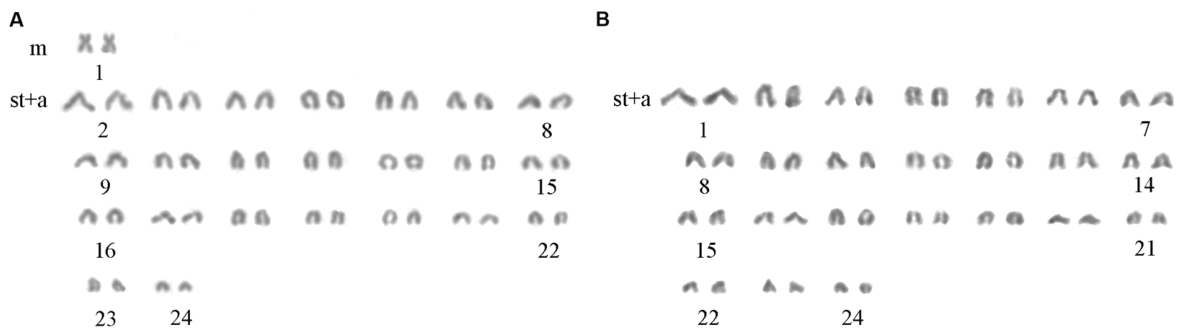 Preprints 237914 g011