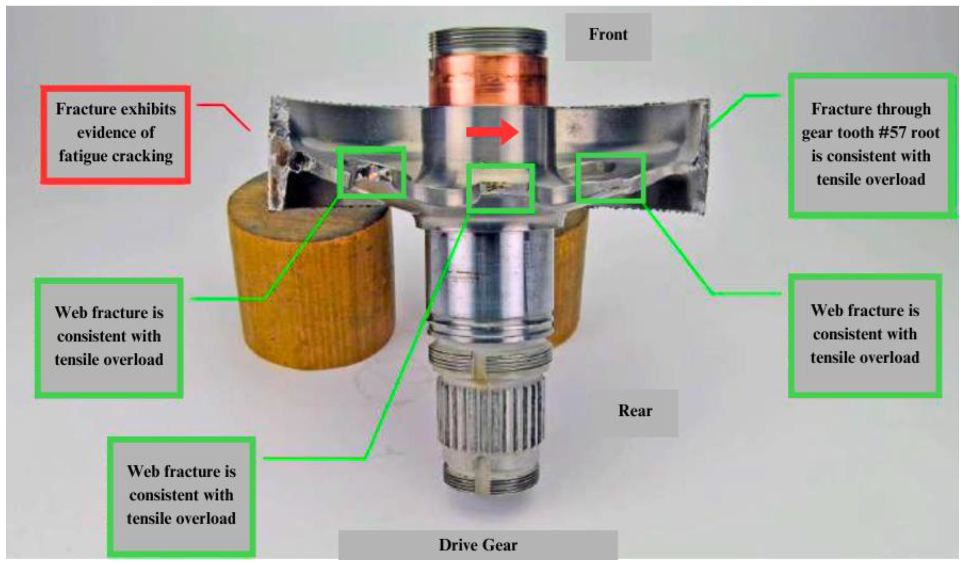 Preprints 142264 g006