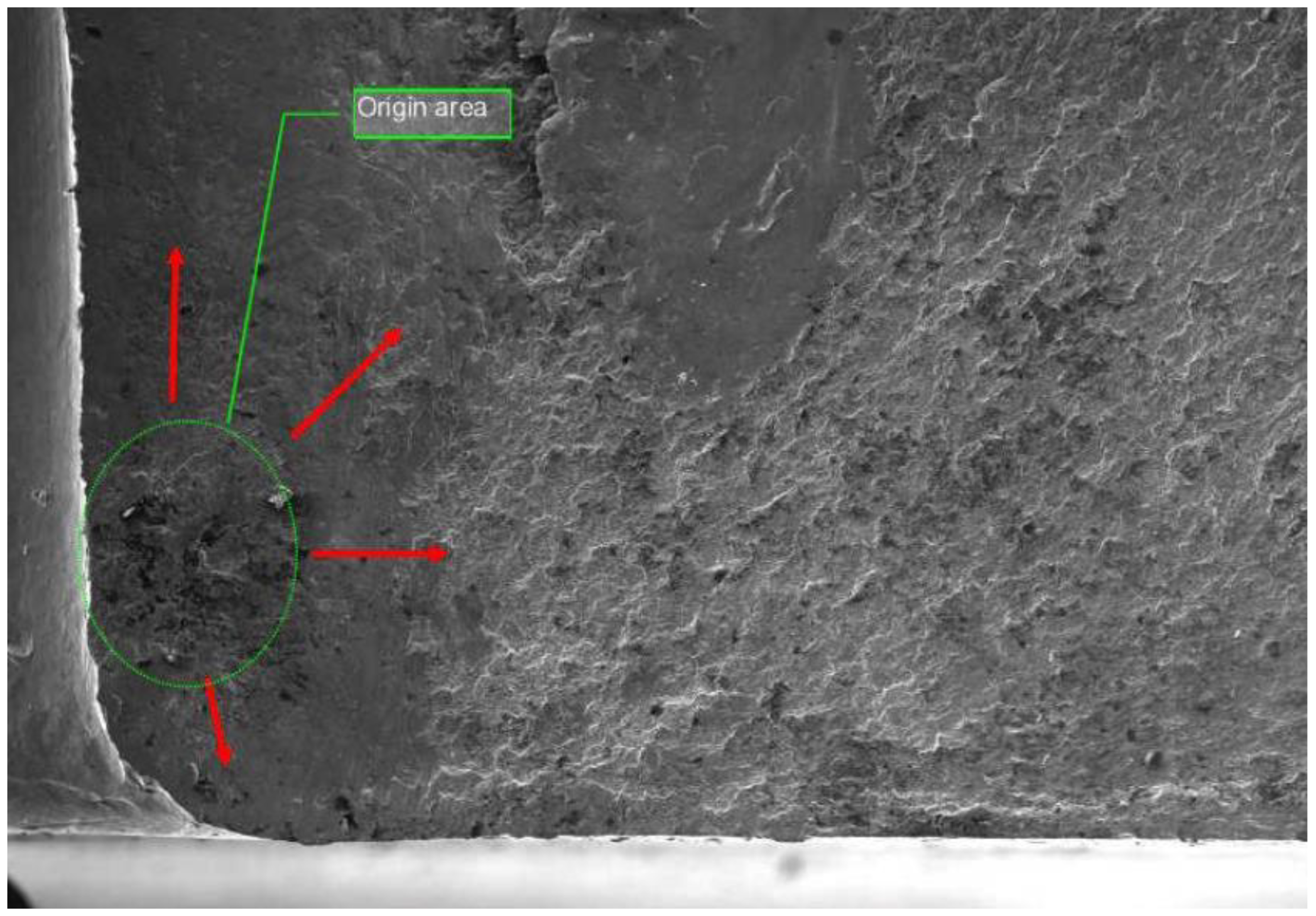 Preprints 142264 g007