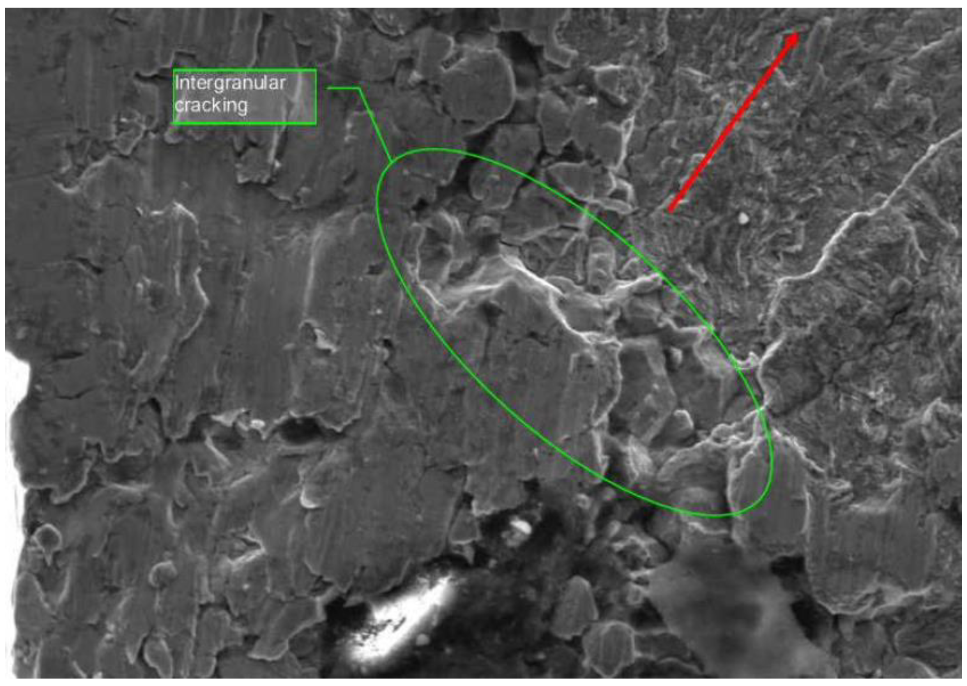 Preprints 142264 g008