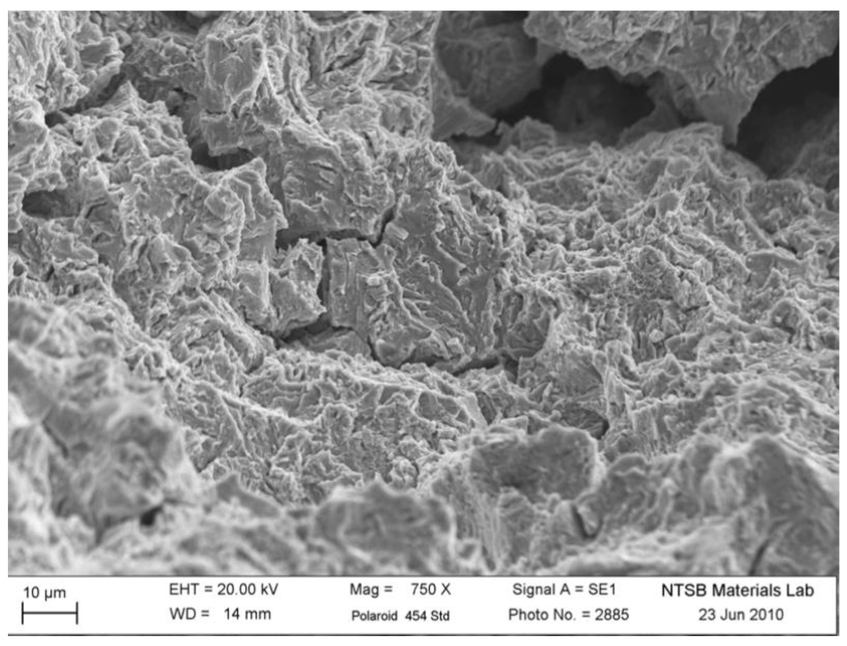 Preprints 142264 g011