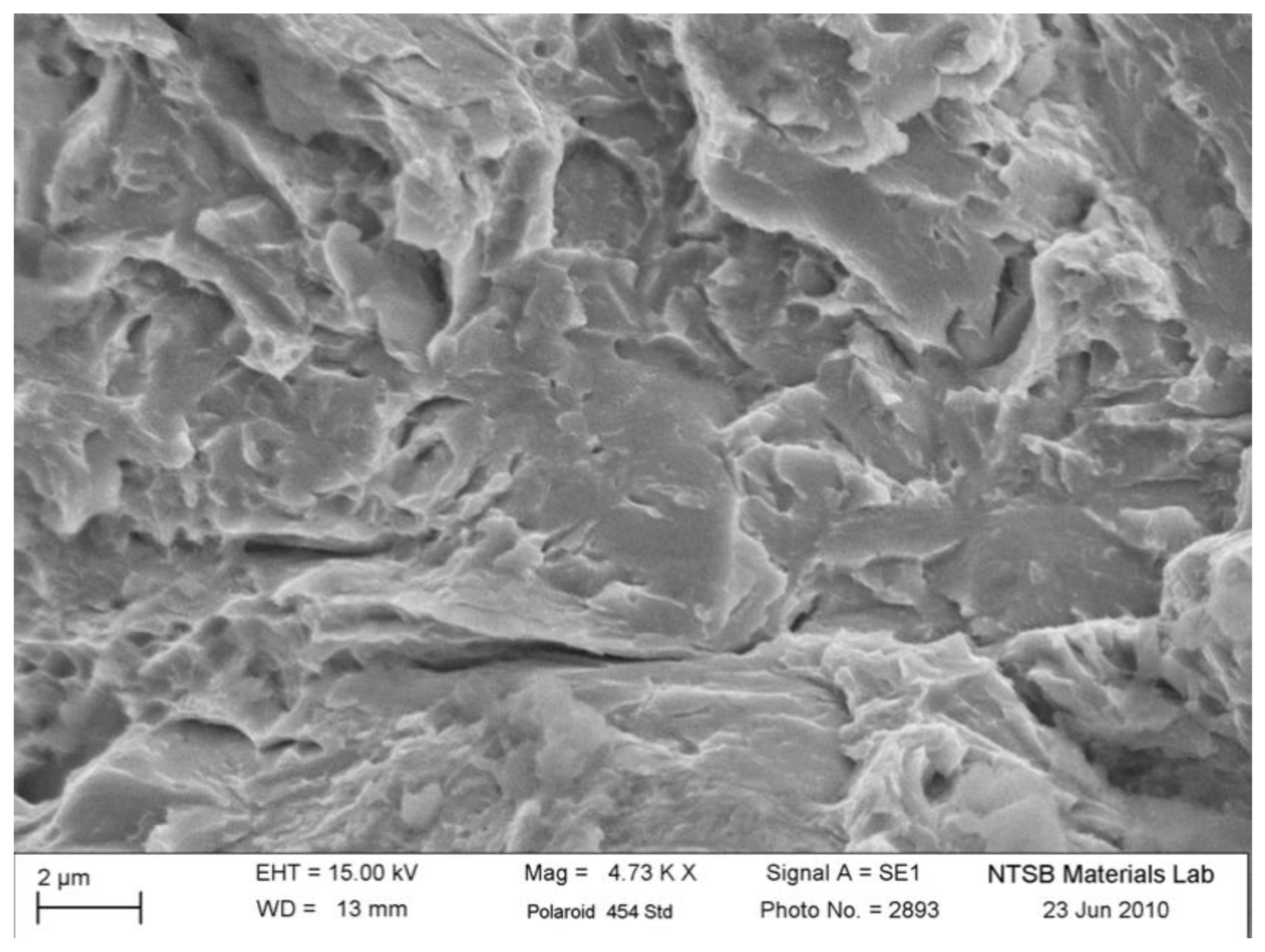 Preprints 142264 g012