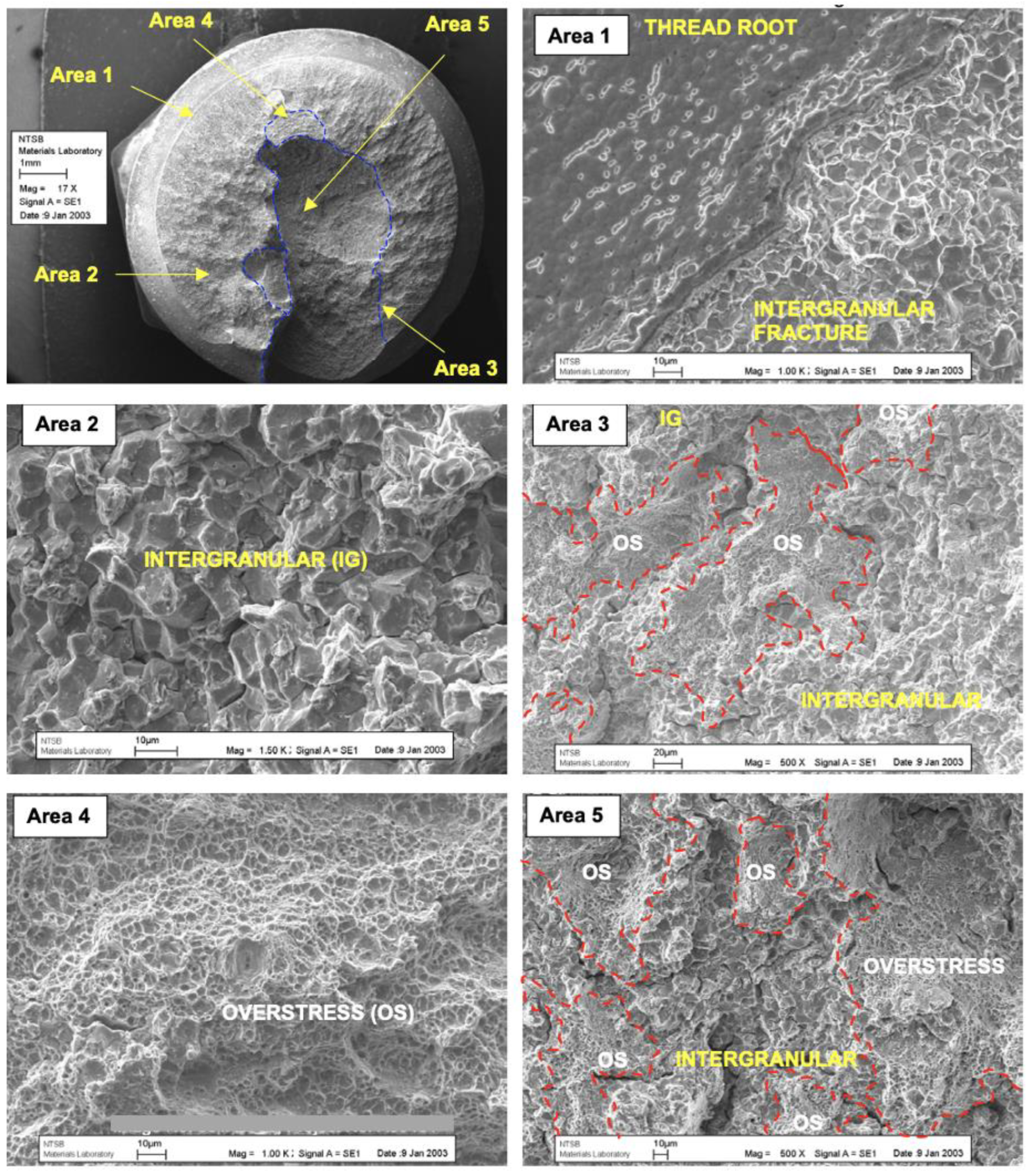Preprints 142264 g014