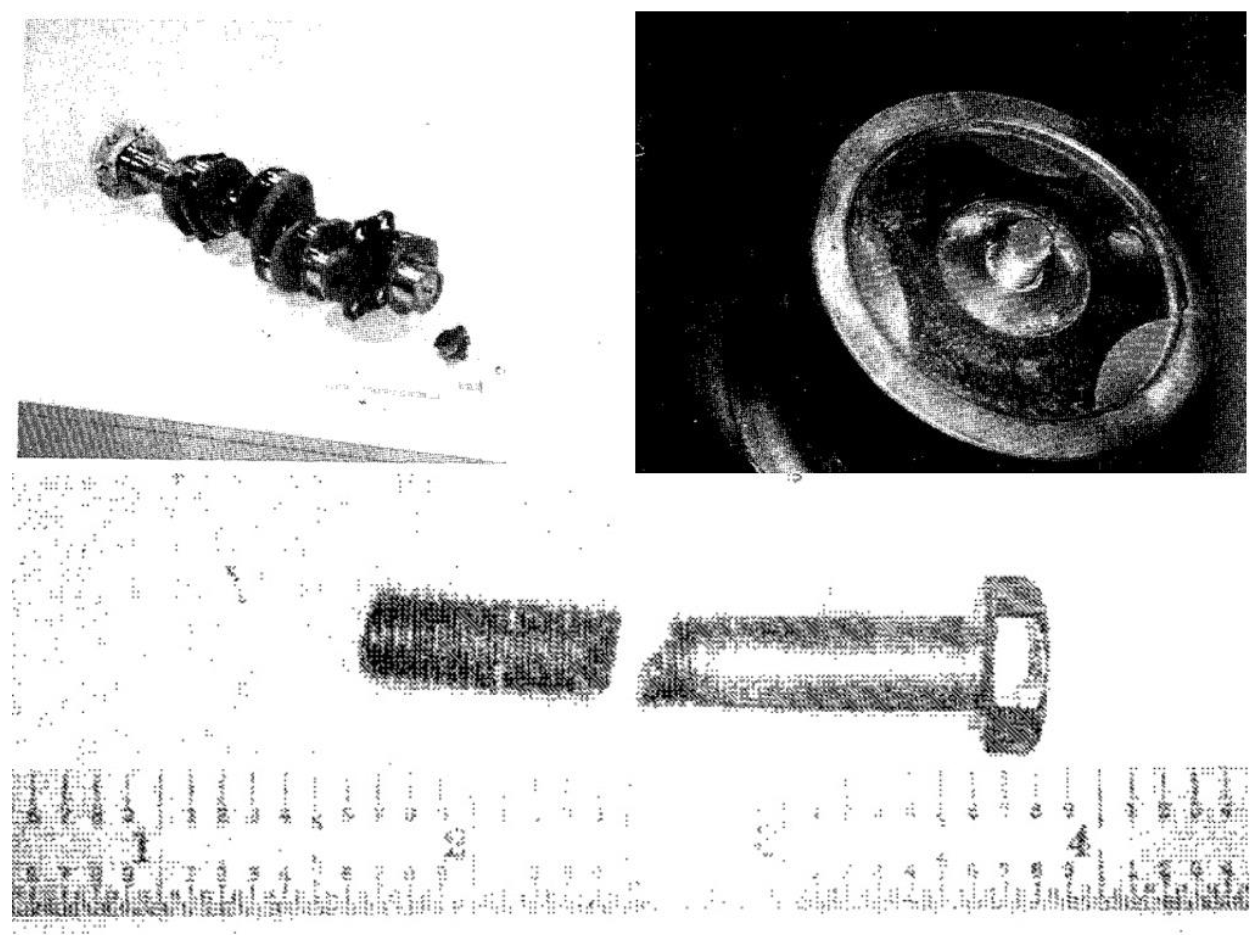 Preprints 142264 g016