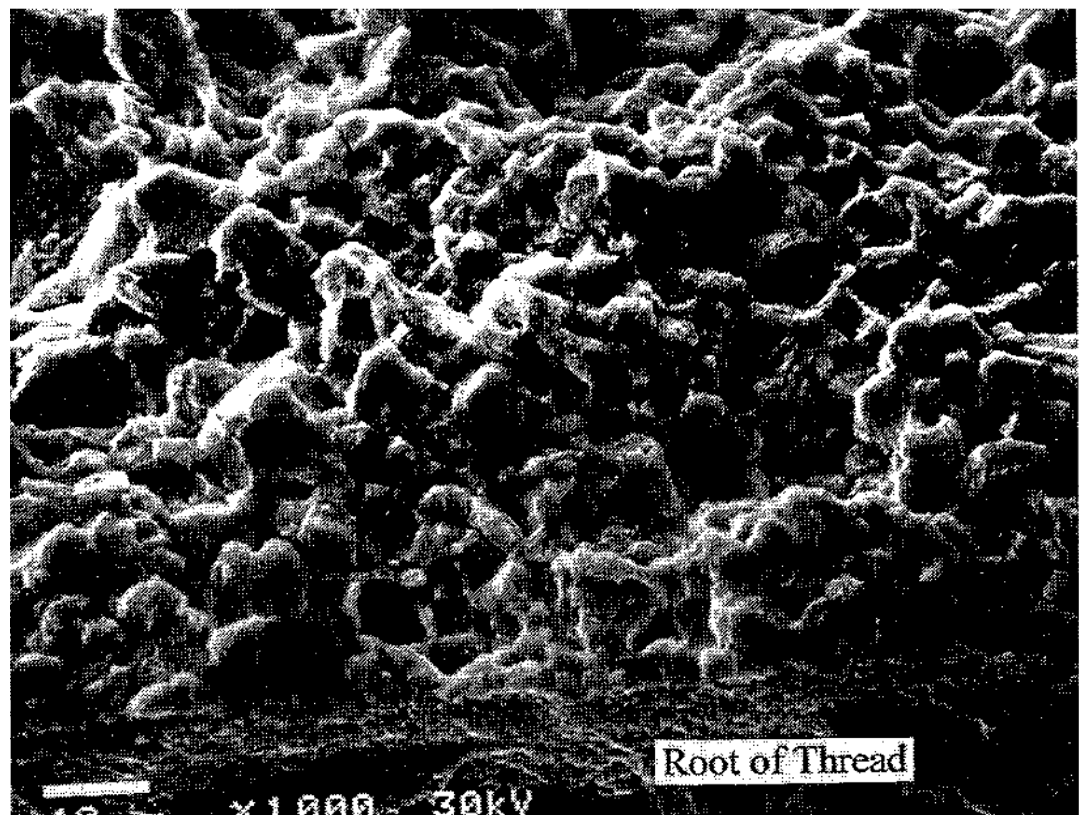 Preprints 142264 g017