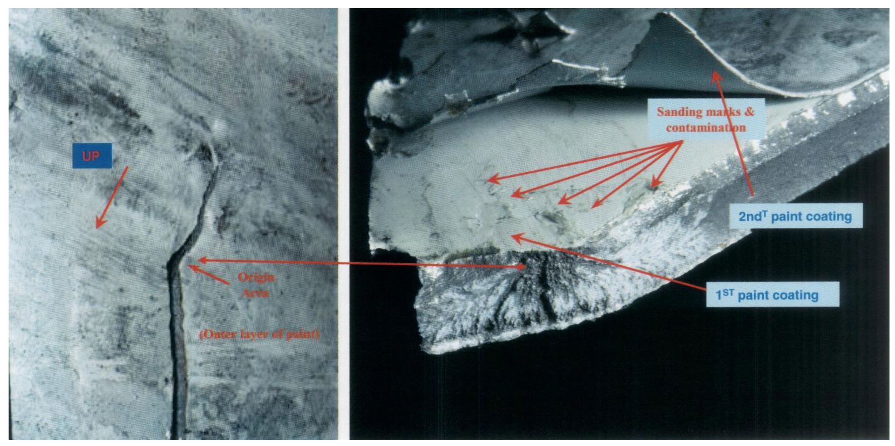 Preprints 142264 g019