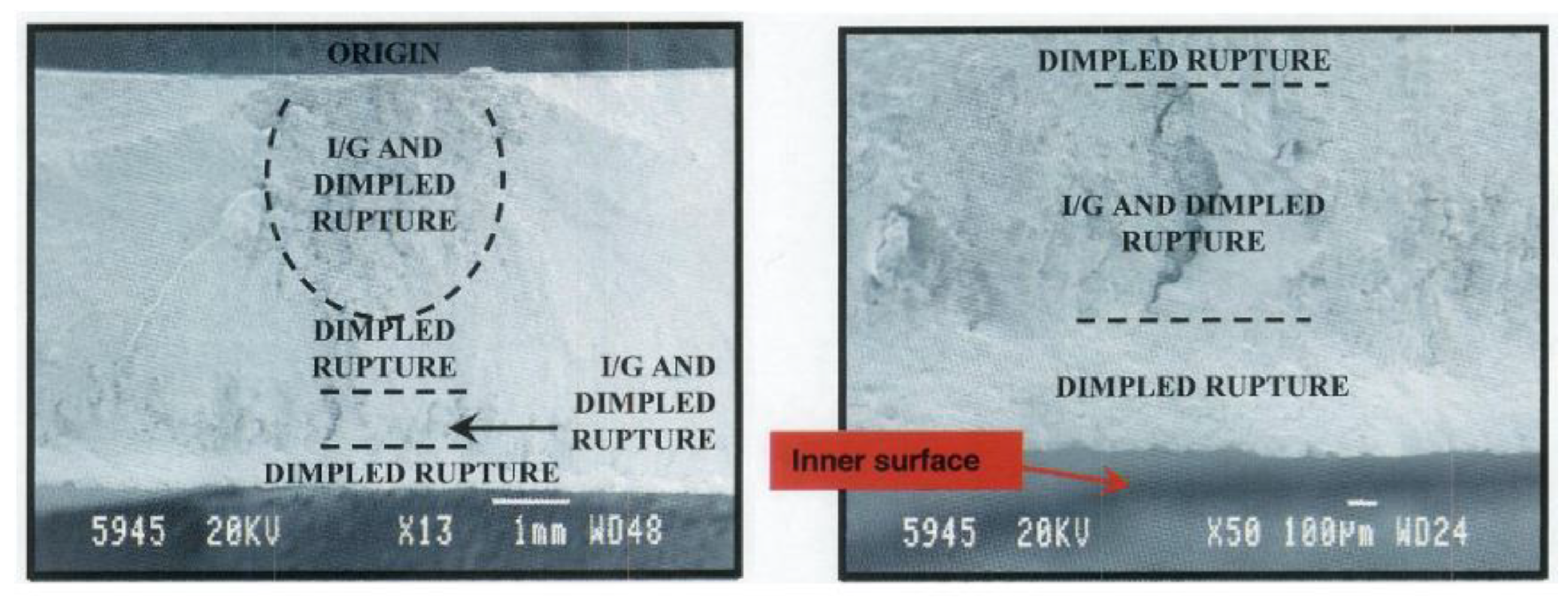 Preprints 142264 g020