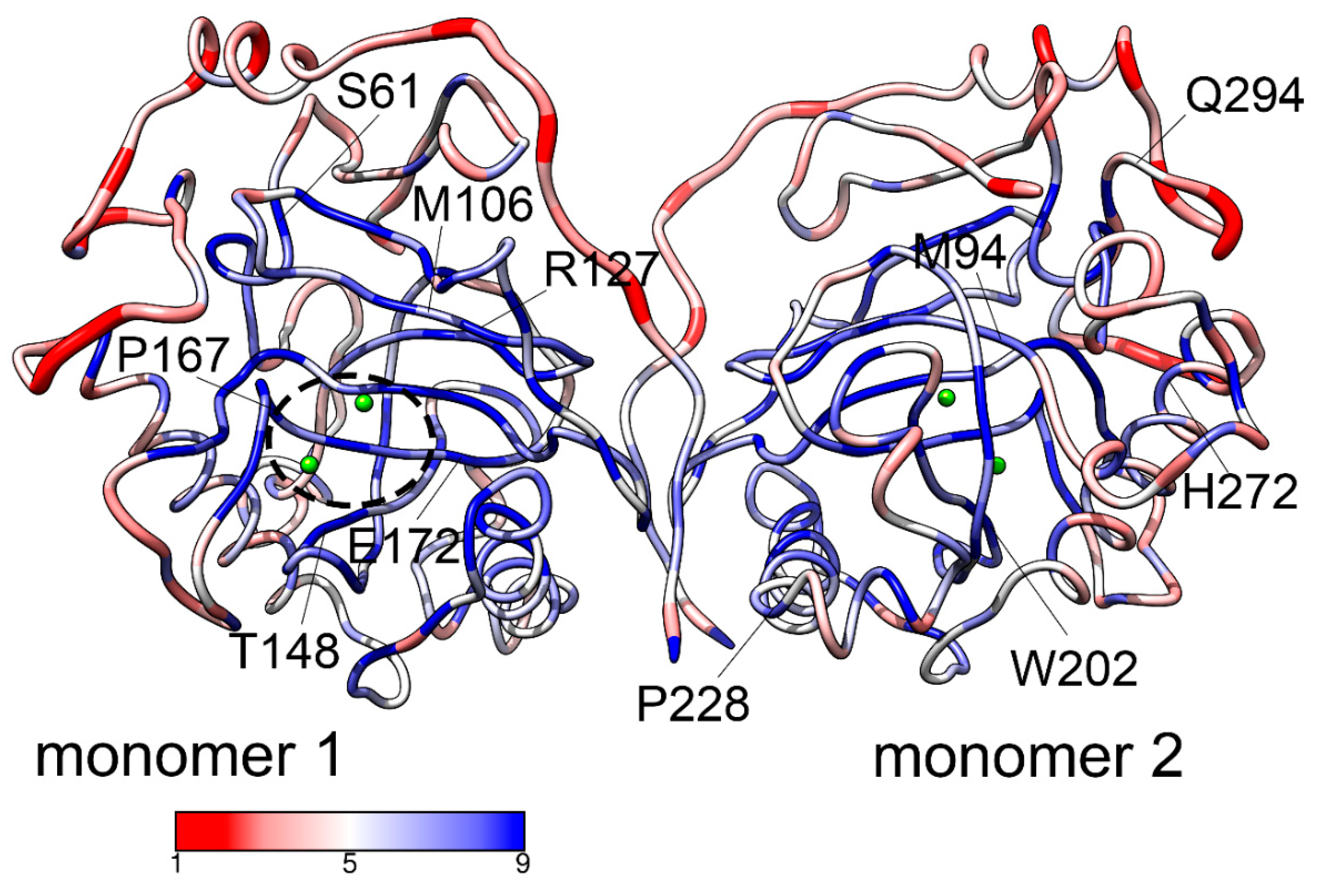 Preprints 141867 g001