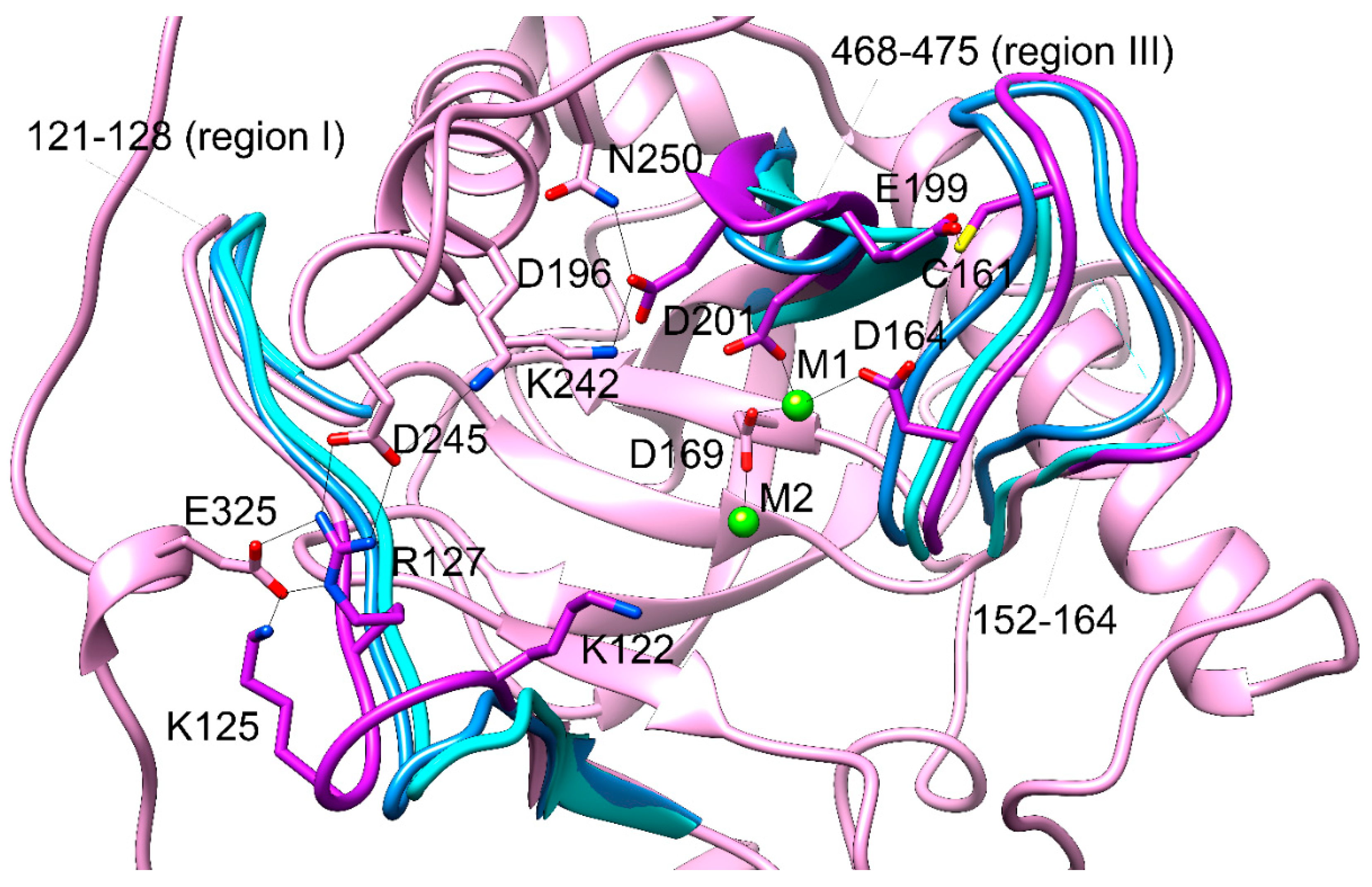Preprints 141867 g005