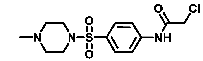 Preprints 116265 i039
