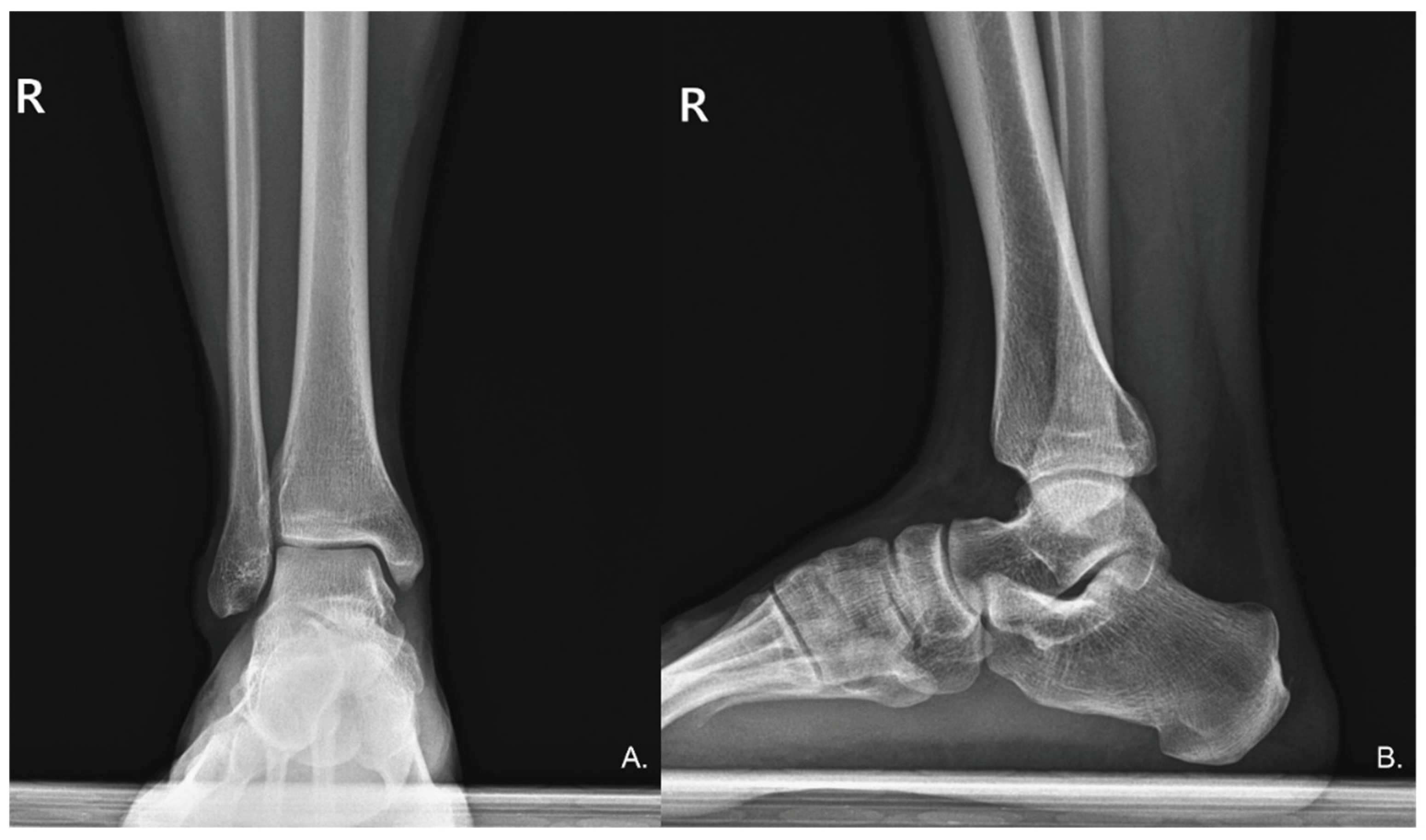 Preprints 158933 g002