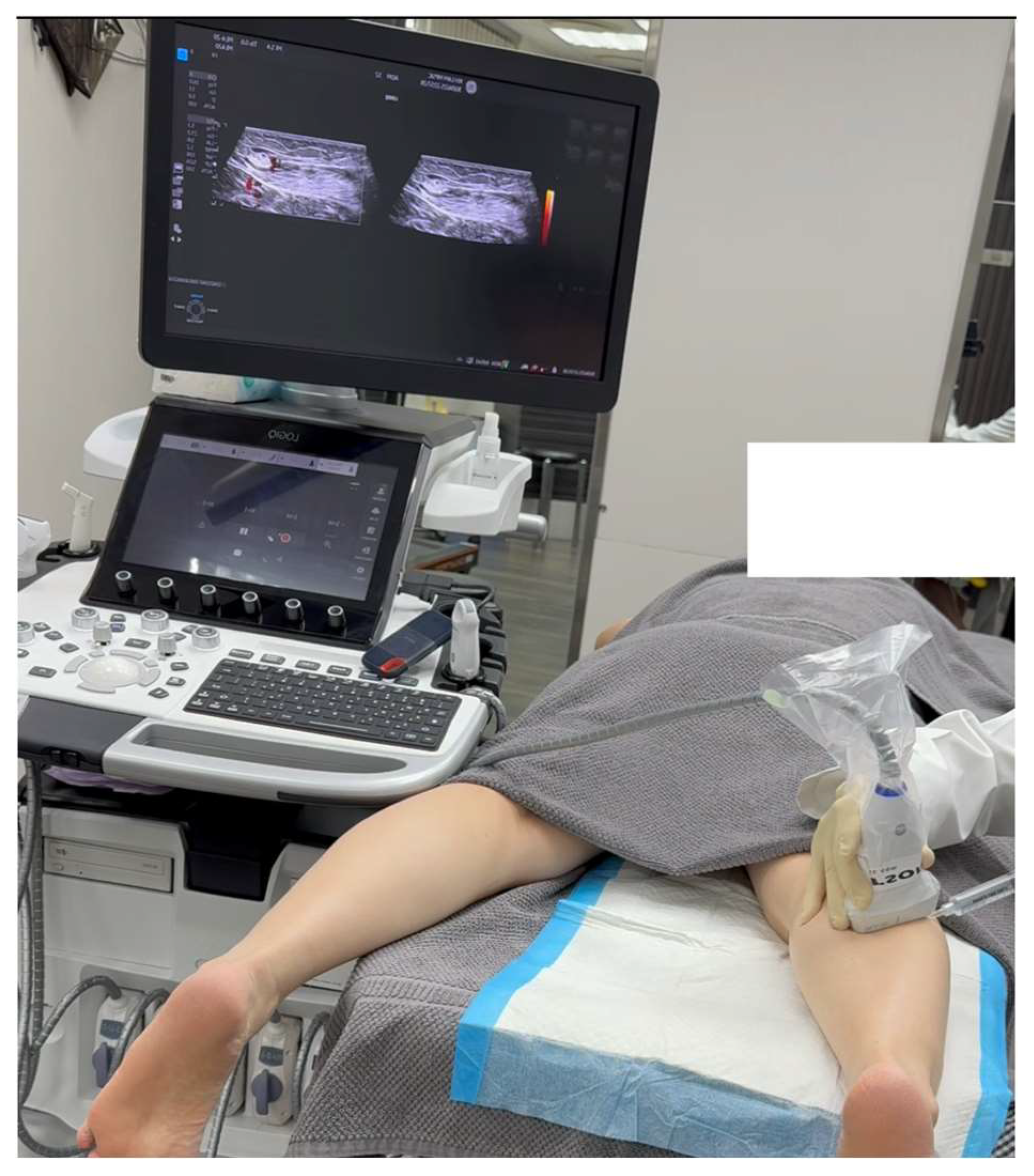 Preprints 158933 g004