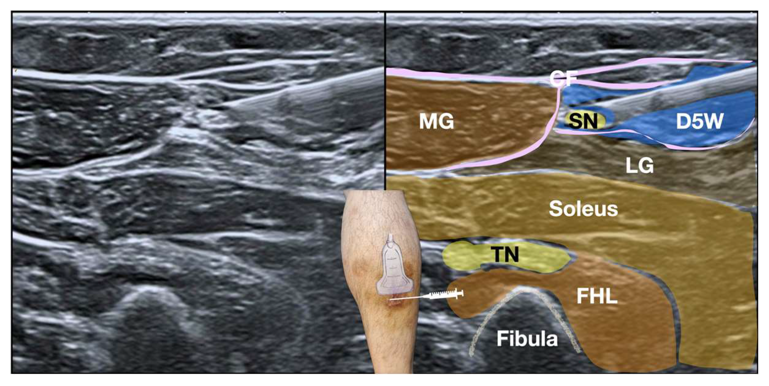 Preprints 158933 g005