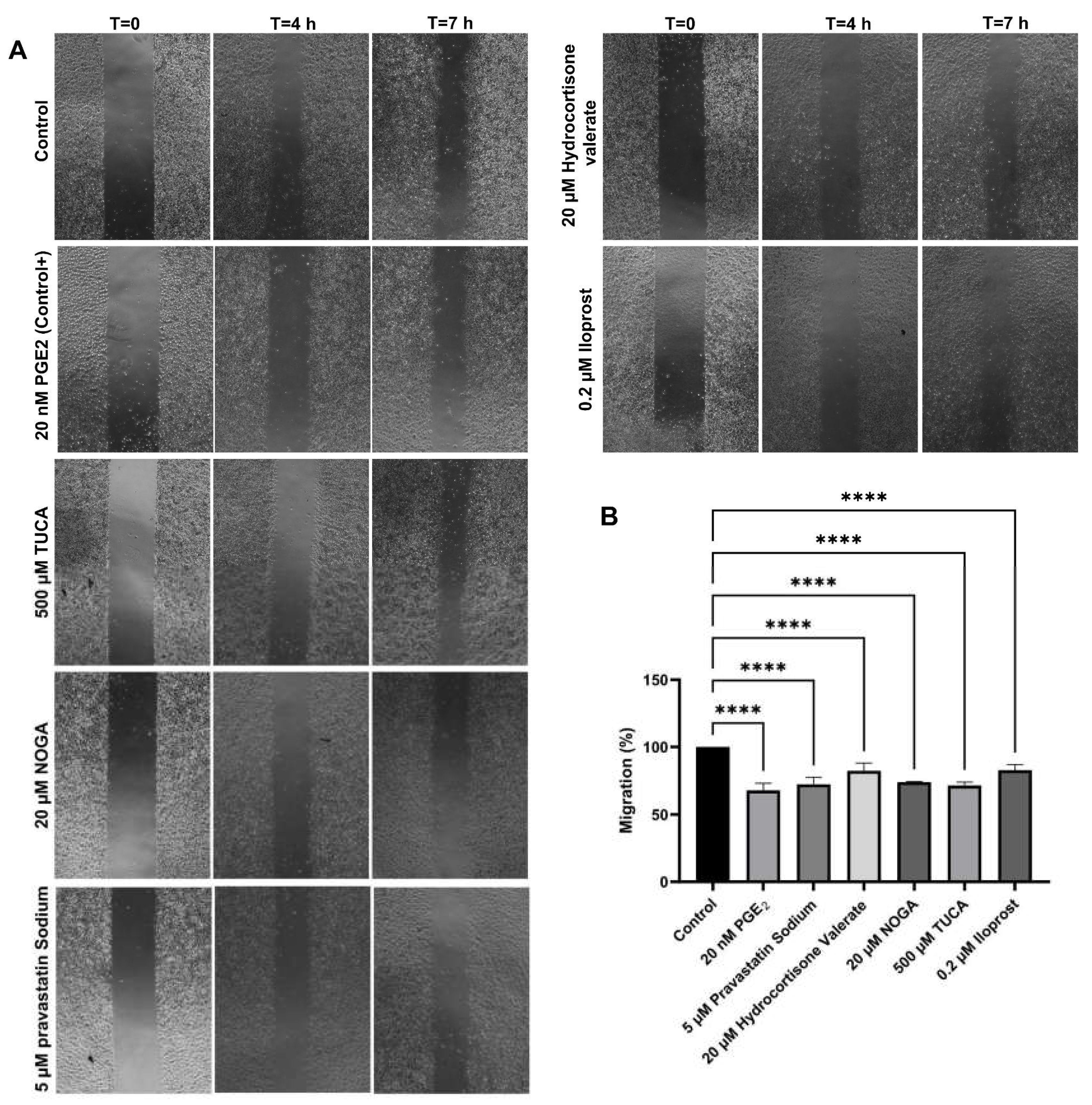 Preprints 155535 g003