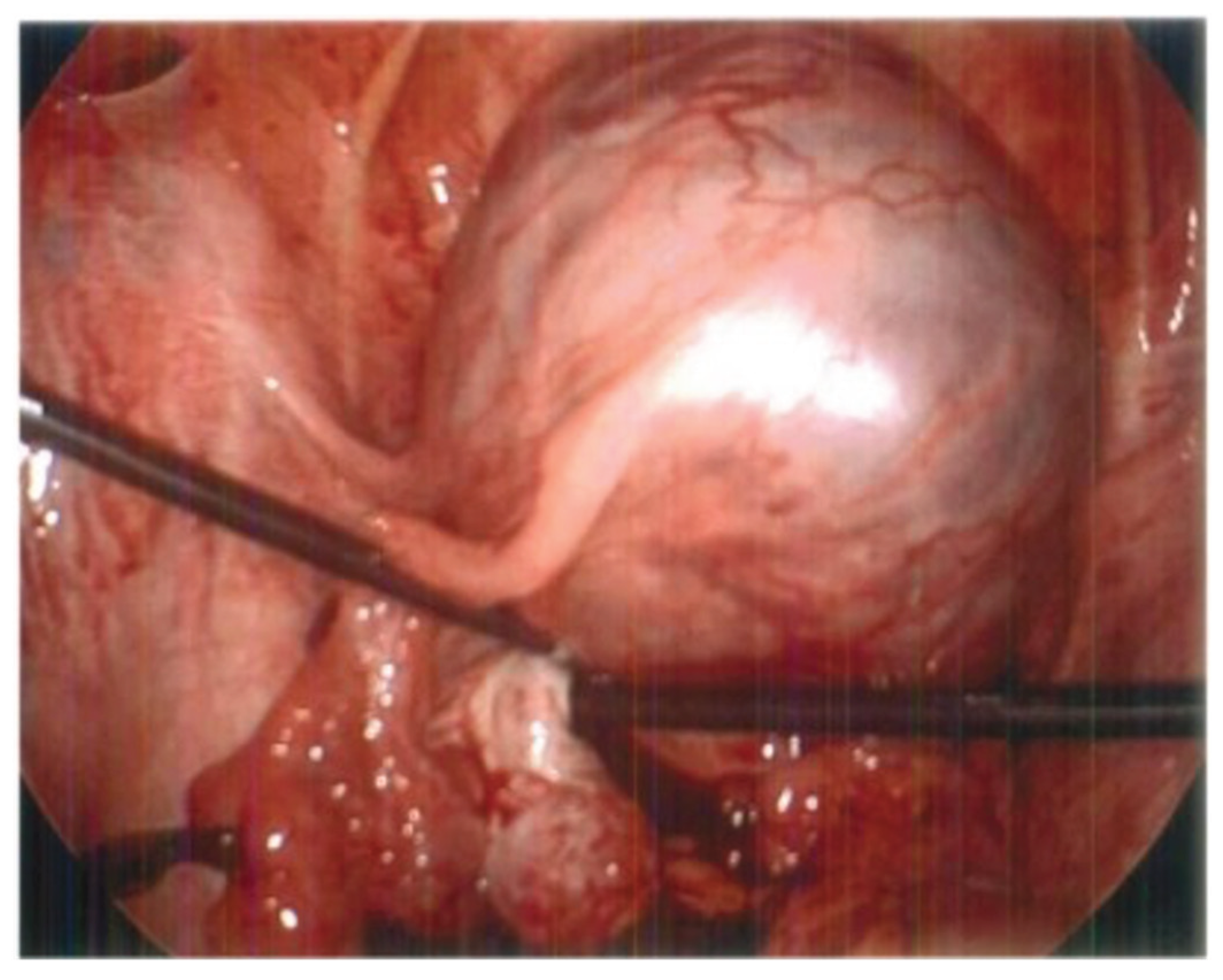 Preprints 177995 g003