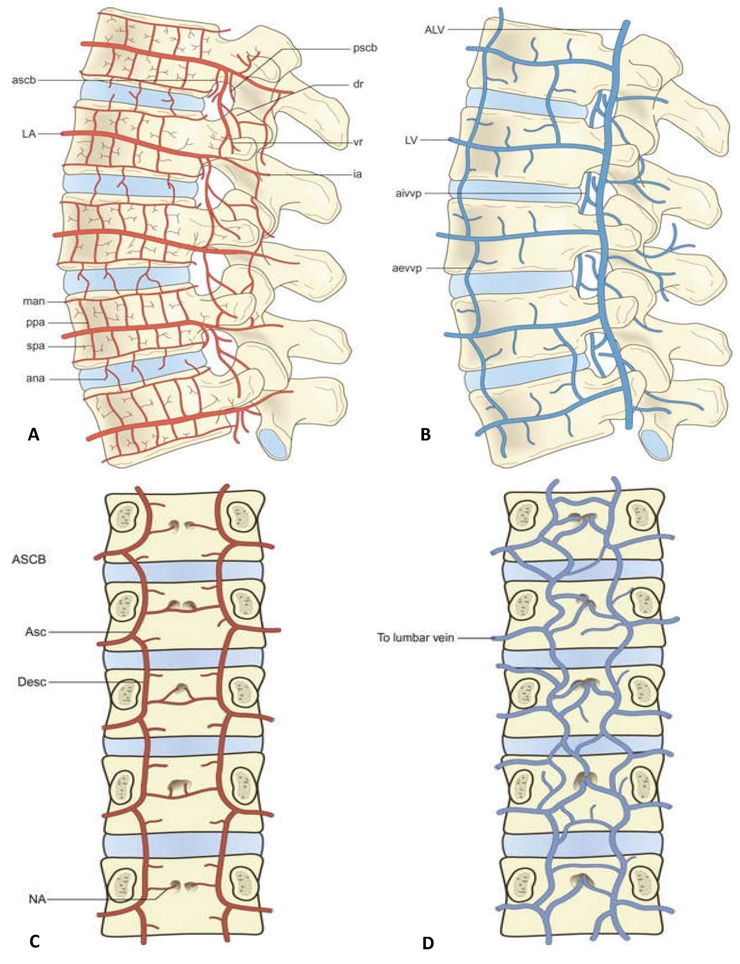 Preprints 112223 g001