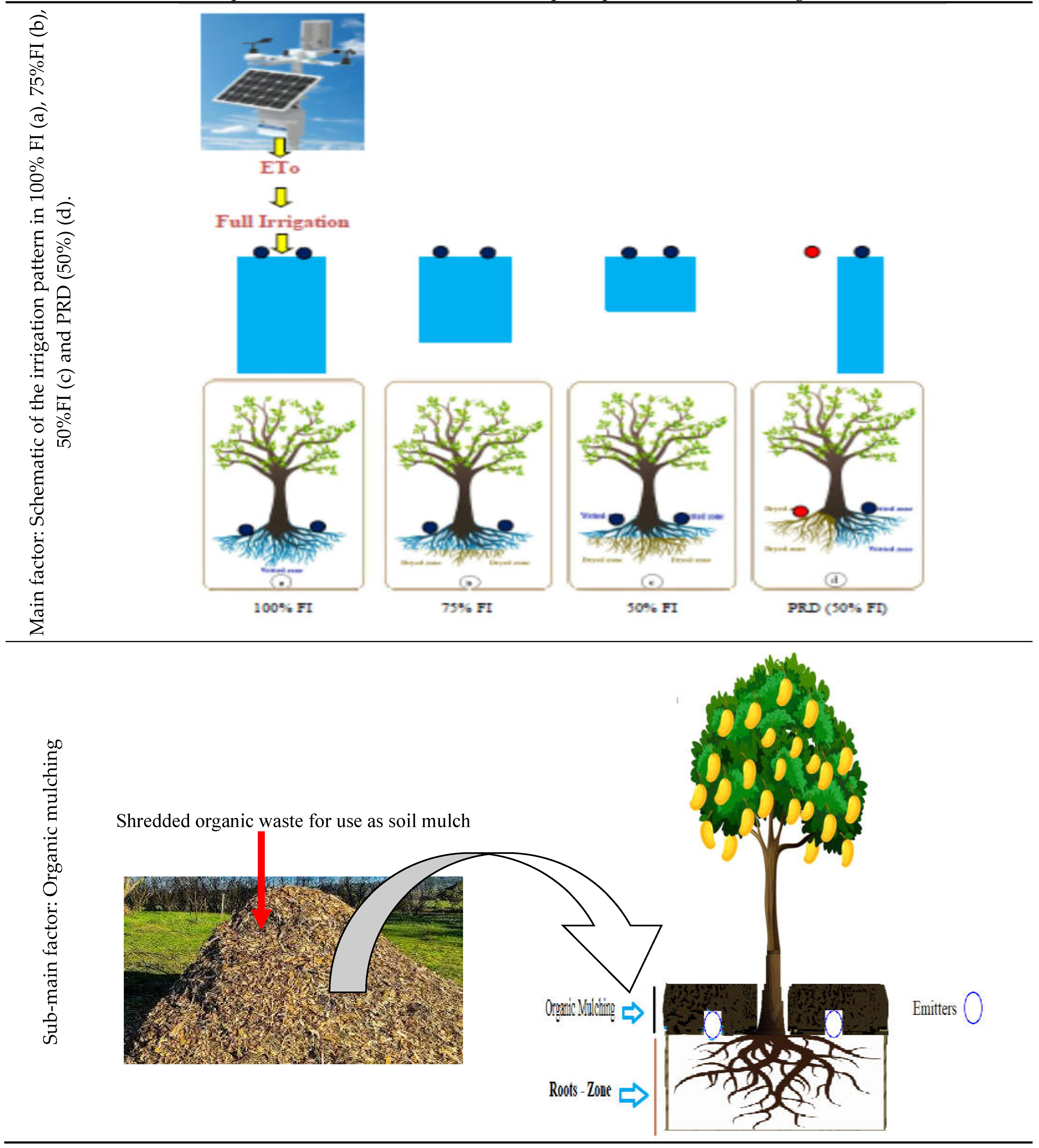 Preprints 75510 g001