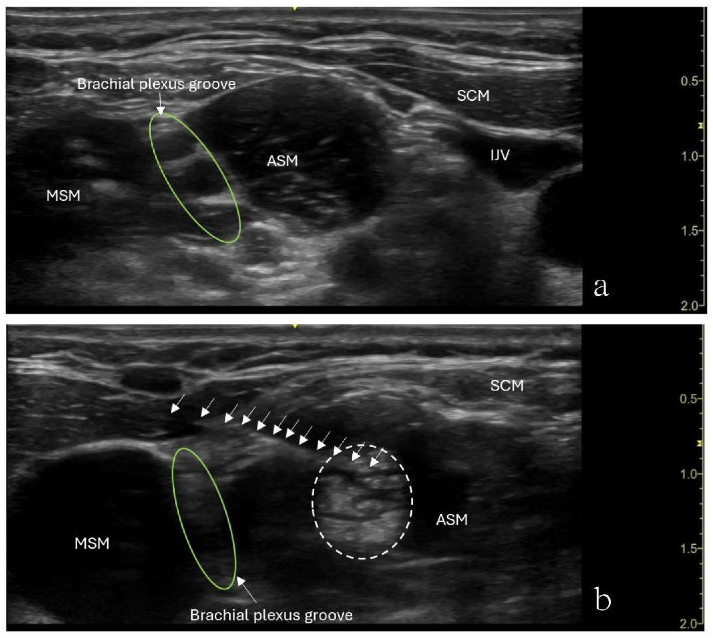 Preprints 161695 g001