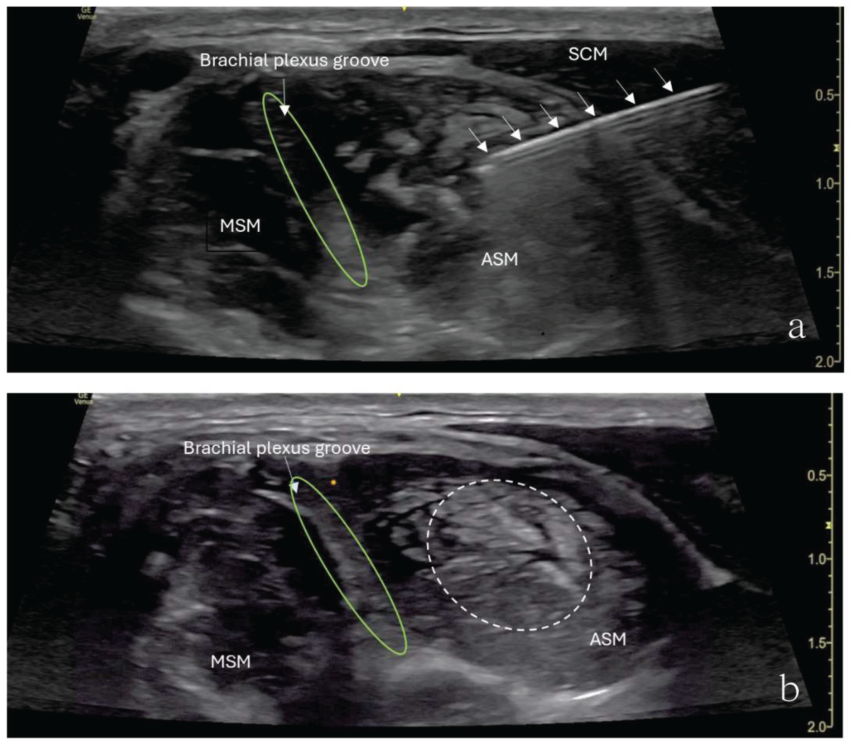 Preprints 161695 g002