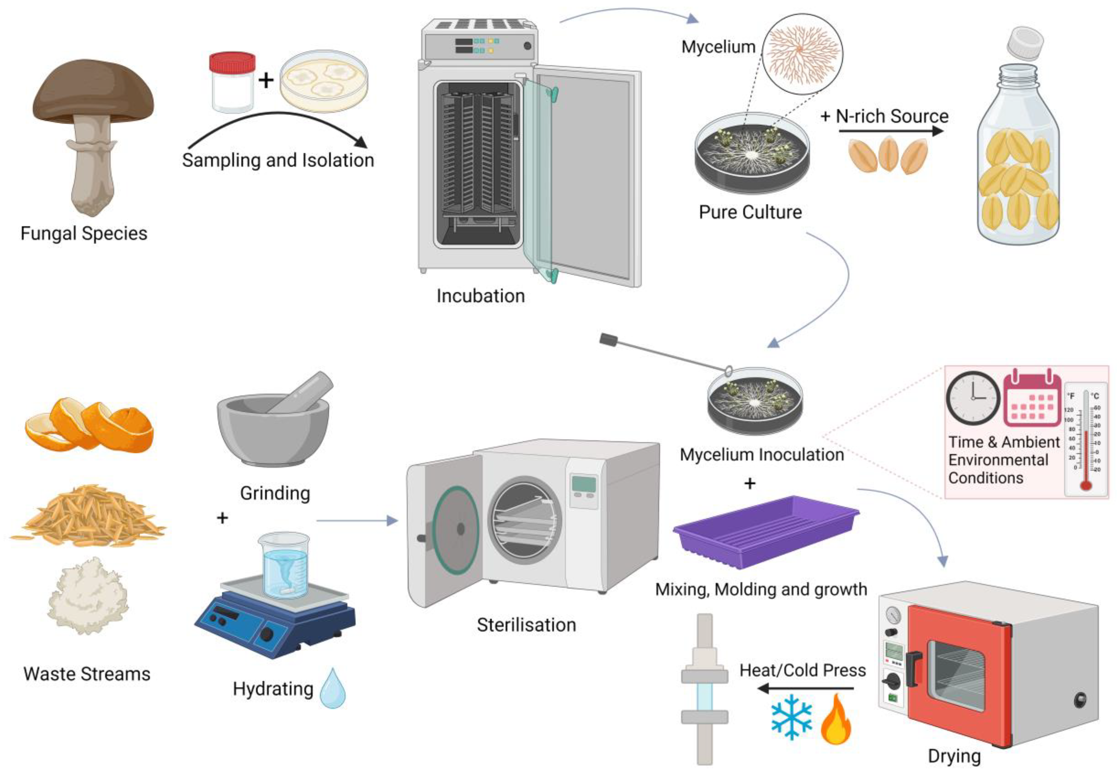 Preprints 164986 g002