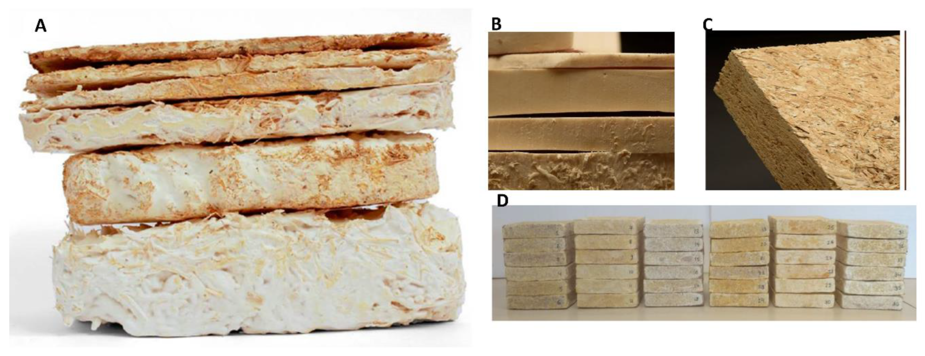 Preprints 164986 g003