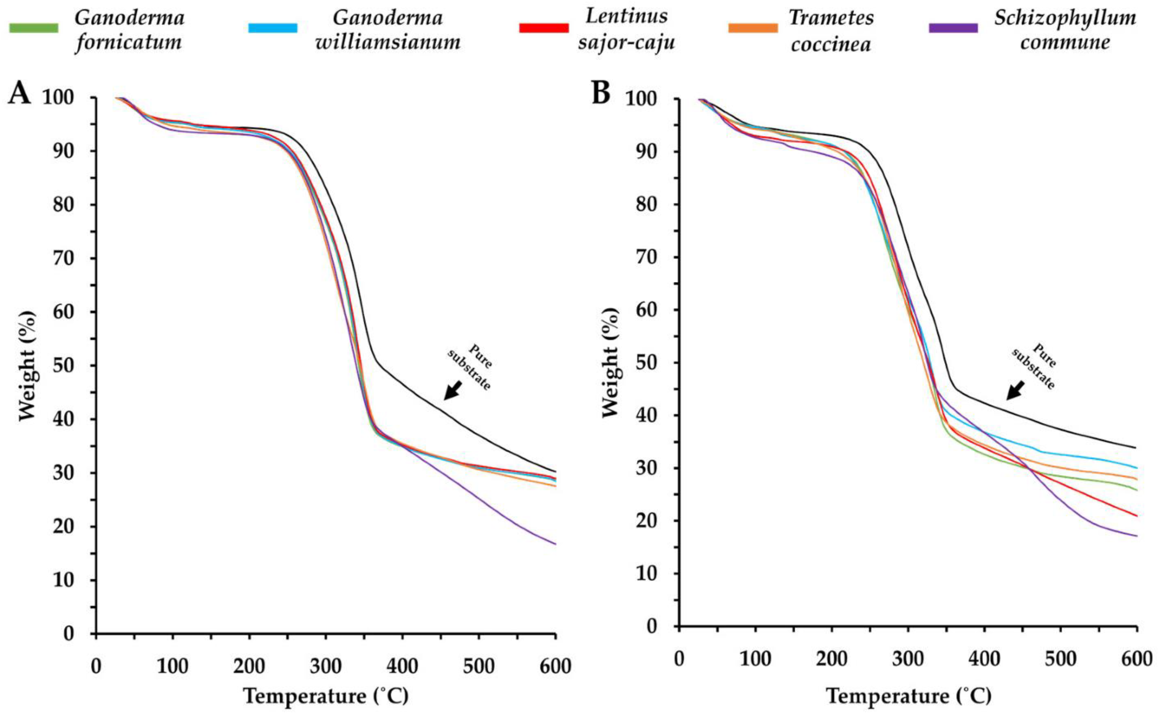 Preprints 164986 g006