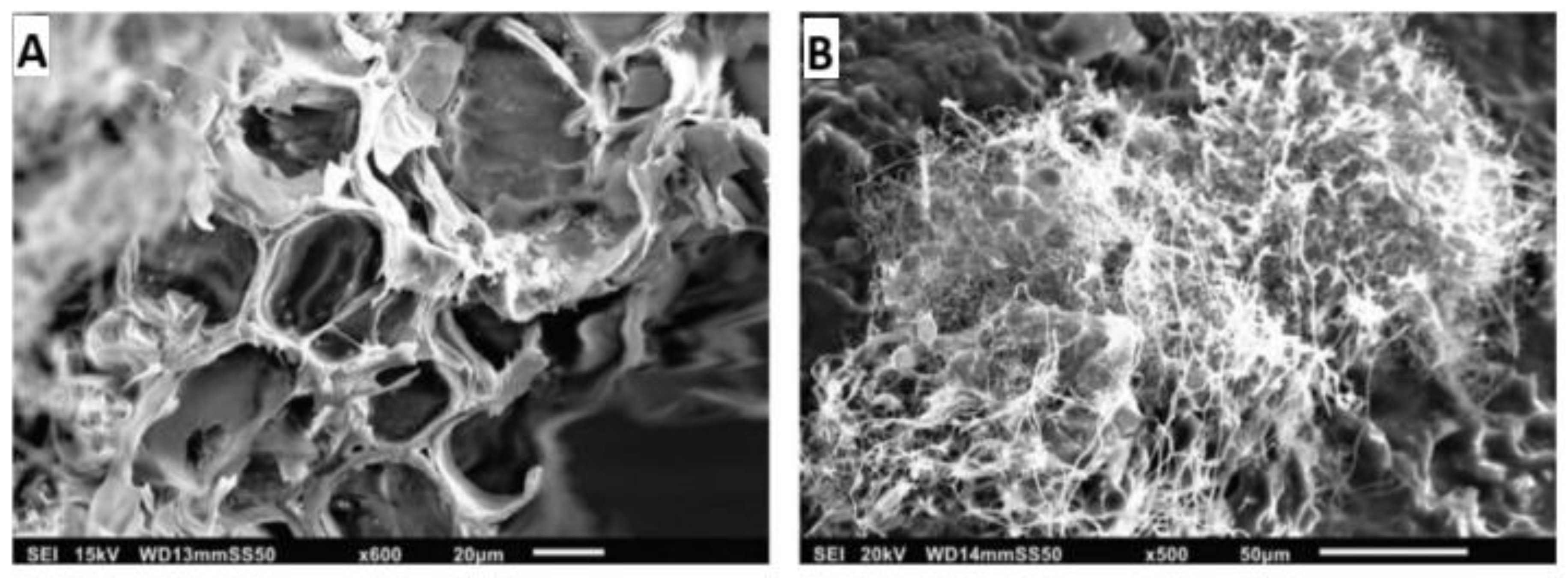Preprints 164986 g008
