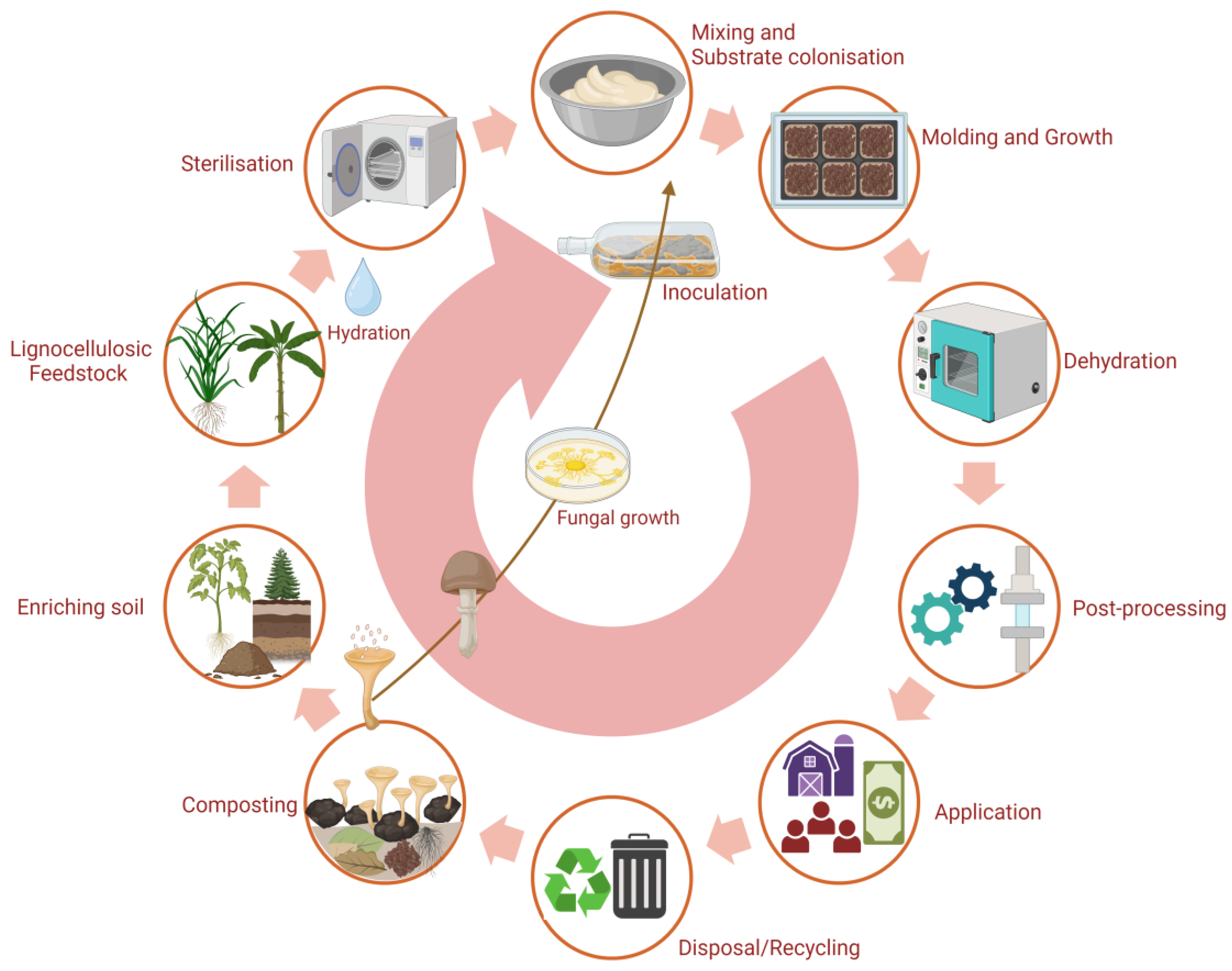 Preprints 164986 g011