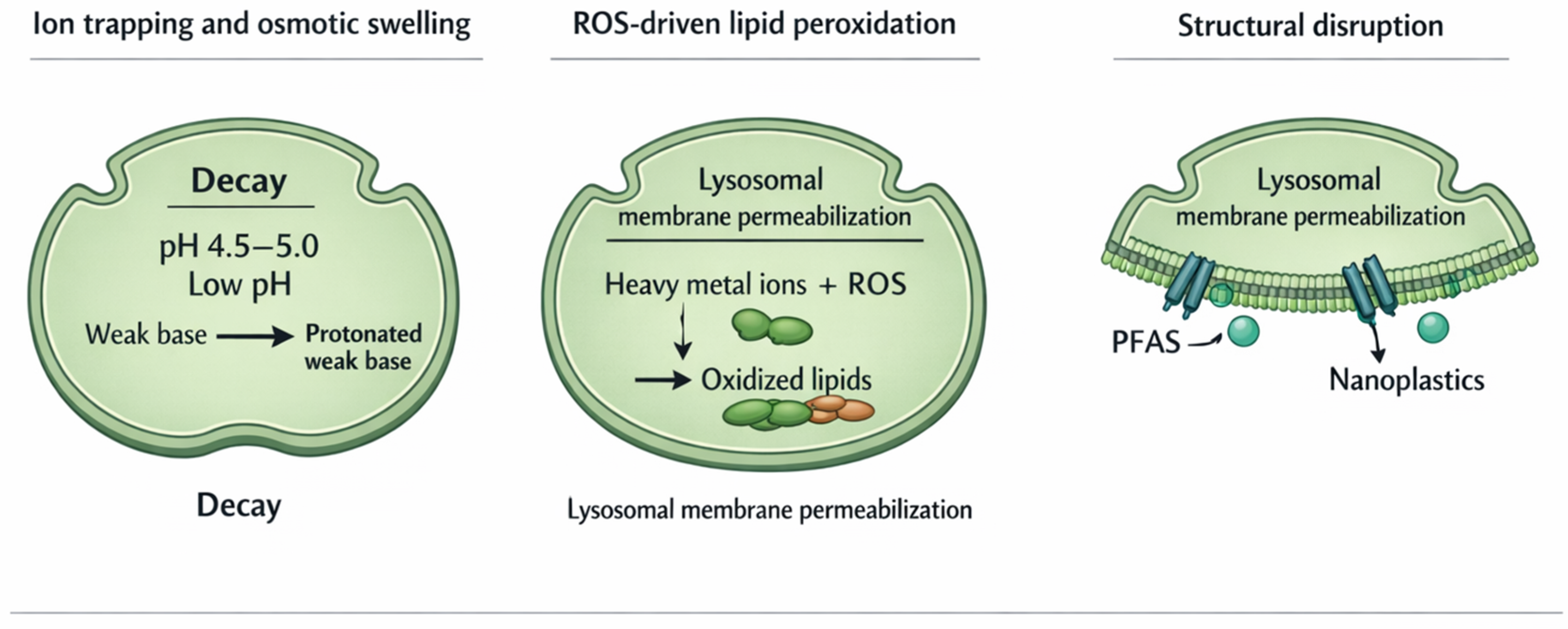 Preprints 207005 g003