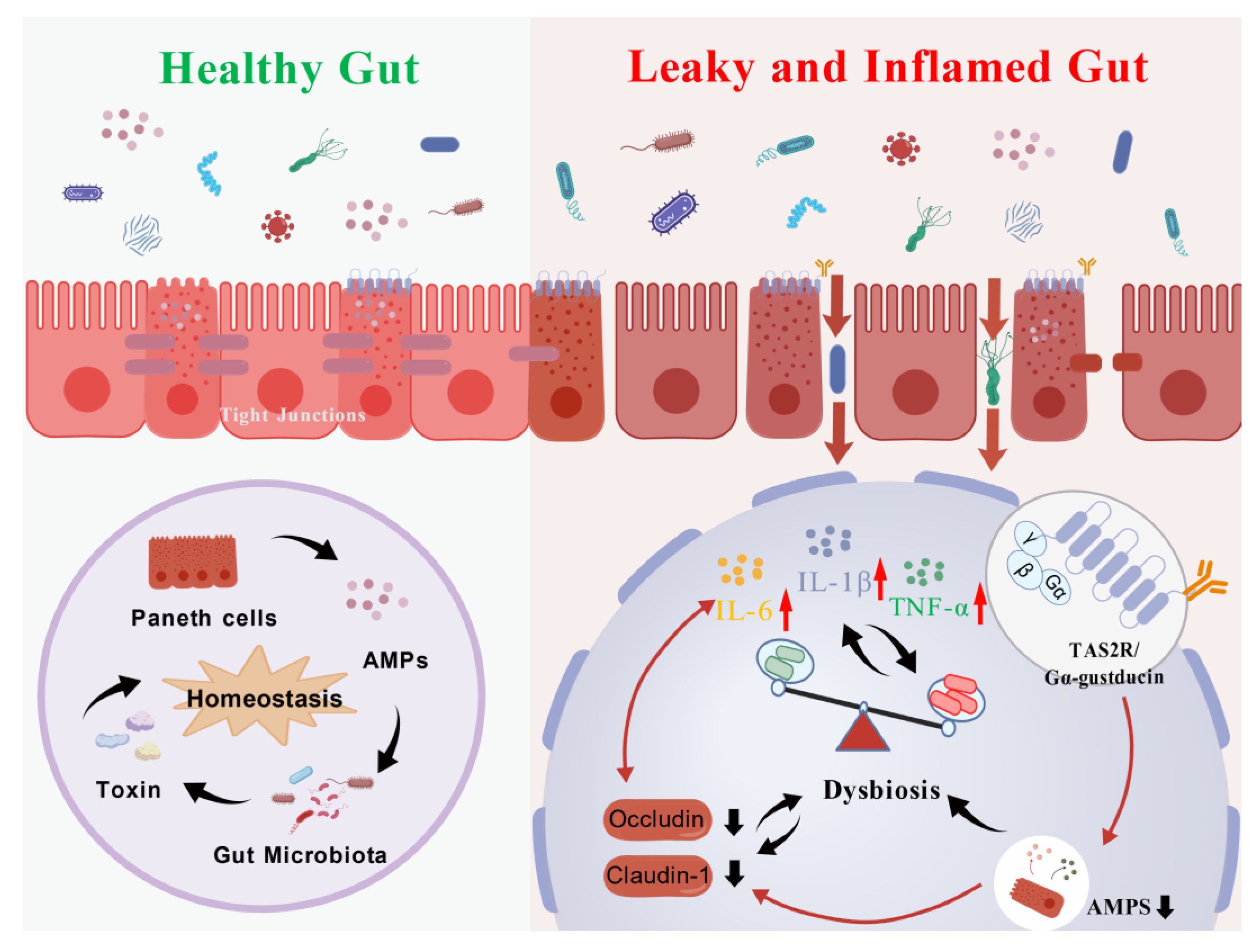 Preprints 189437 g007