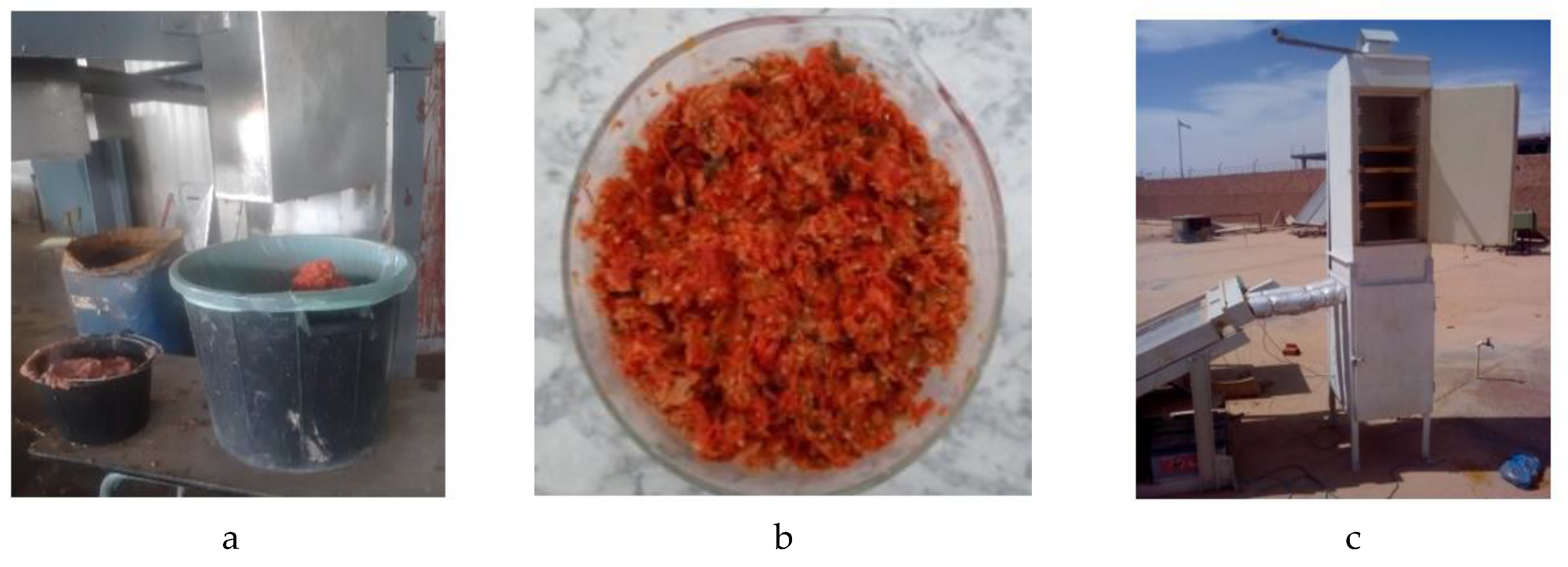 Preprints 142878 g001