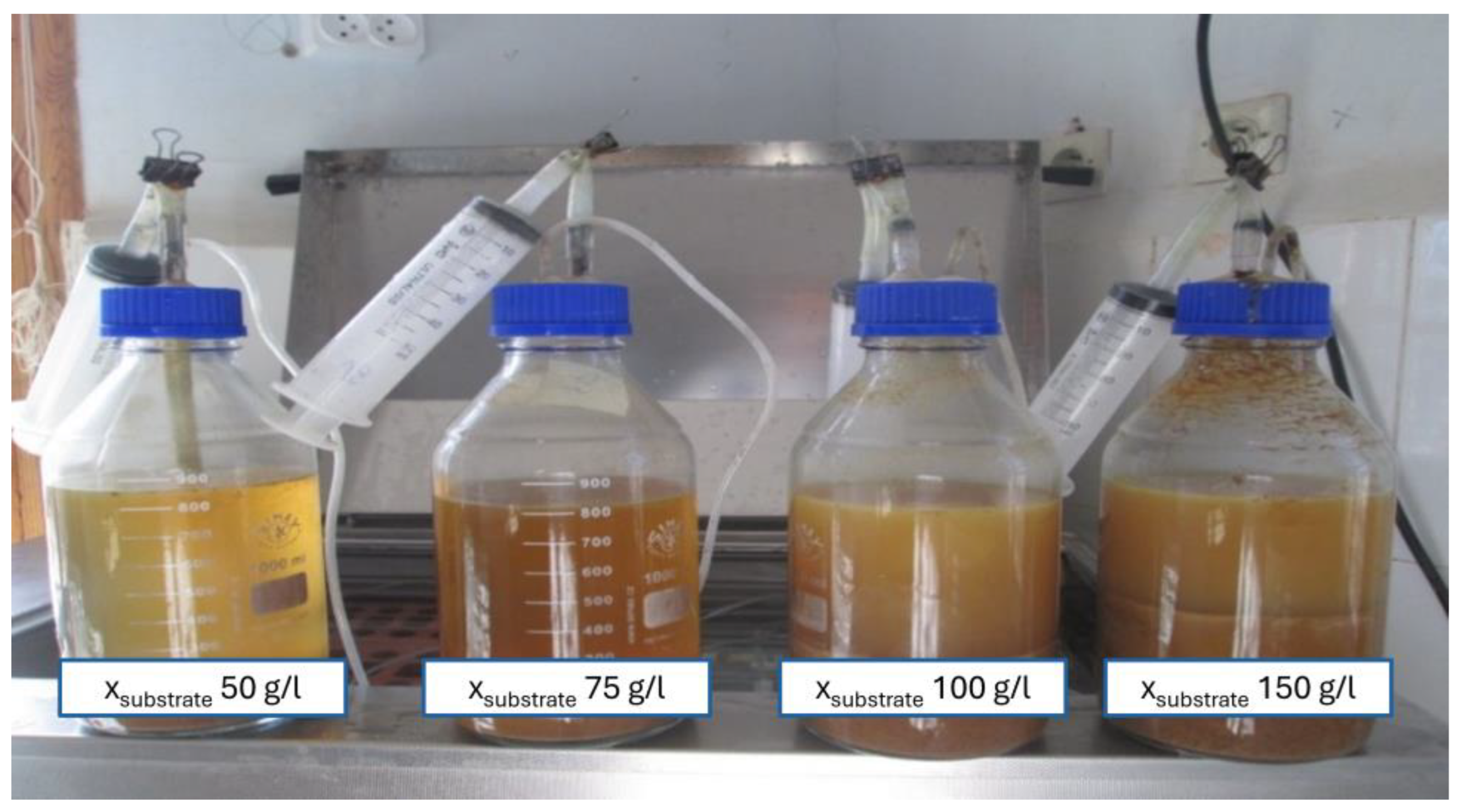 Preprints 142878 g003