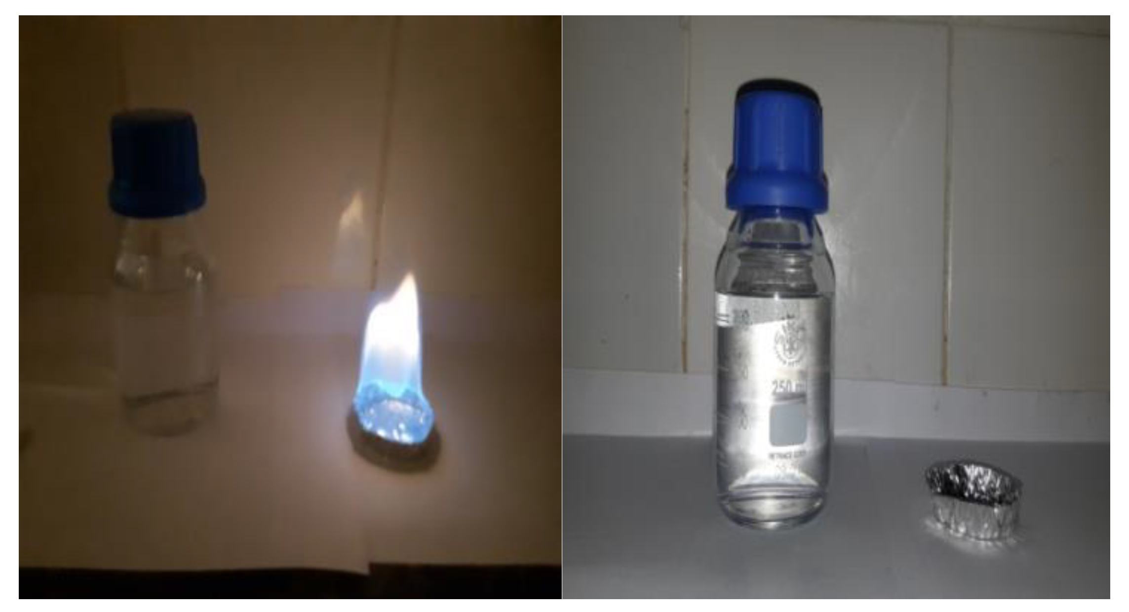 Preprints 142878 g005