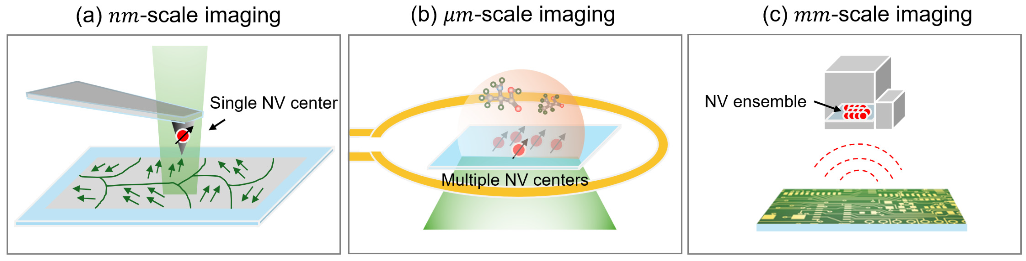 Preprints 143023 g001