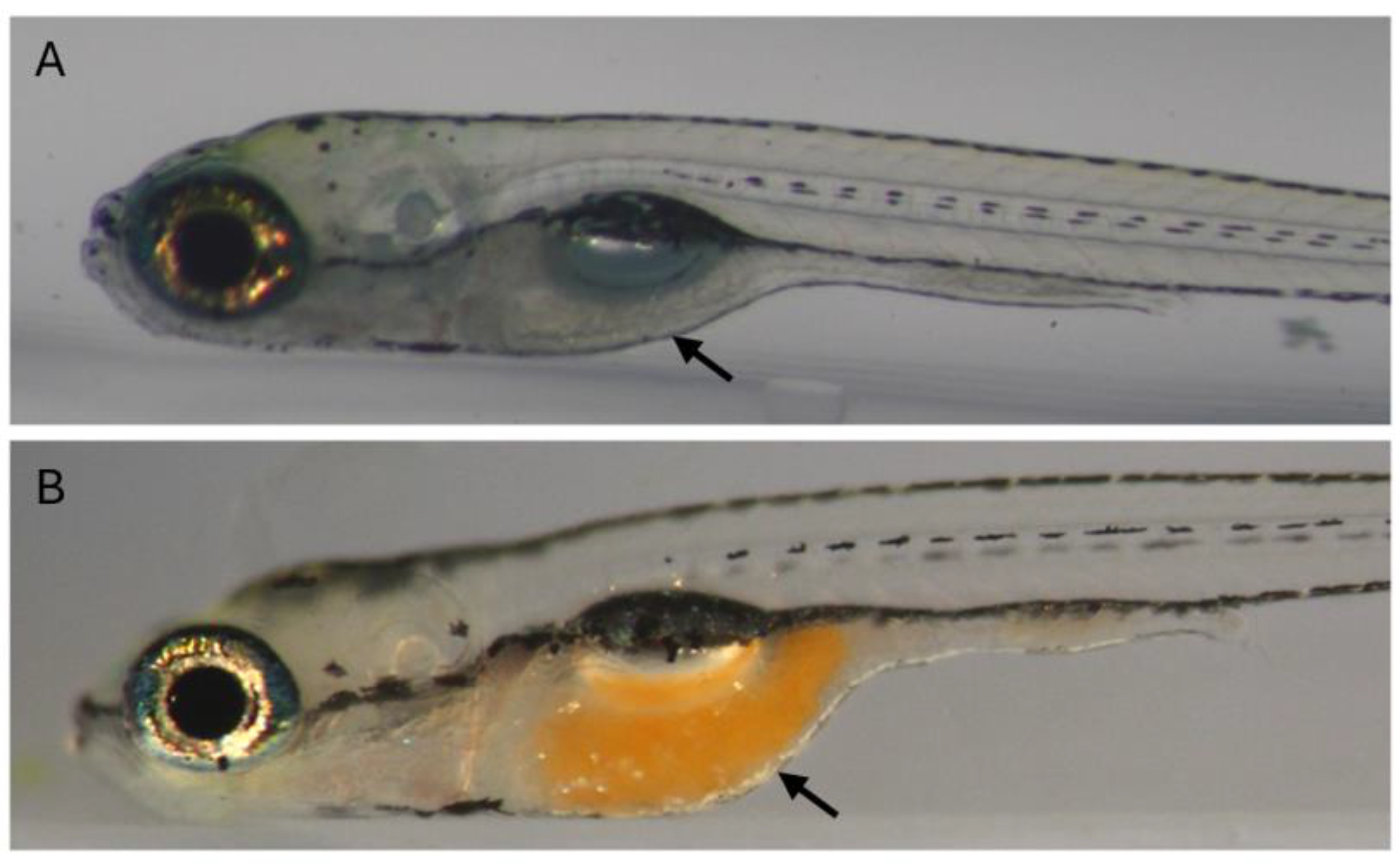 Preprints 167740 g002